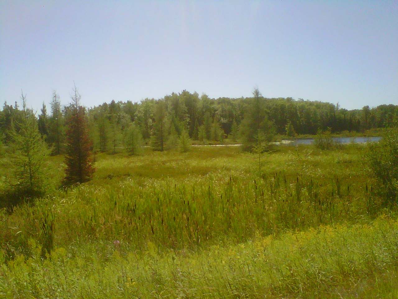 Lot 29 Gemstone Road Presque Isle, WI 54557 - Photo 12 of 12 Gallery Image 12