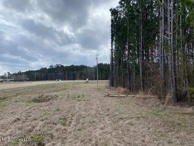 $1,495,000 | South College Street, Brandon, MS 39042