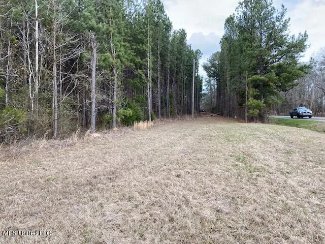 $1,495,000 | South College Street, Brandon, MS 39042