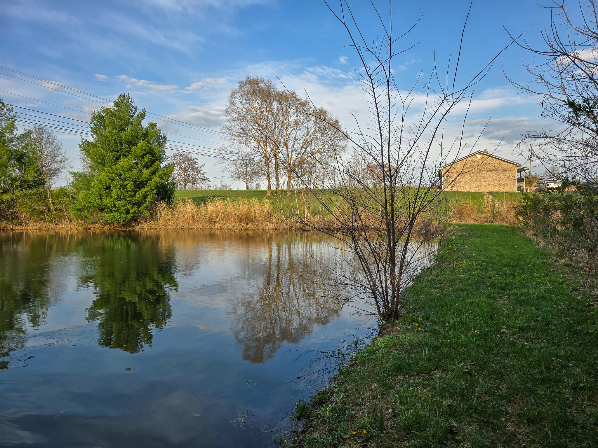 2060 Dry Ridge Road Liberty, KY 42539 - Photo 76 of 87 20250402_181341