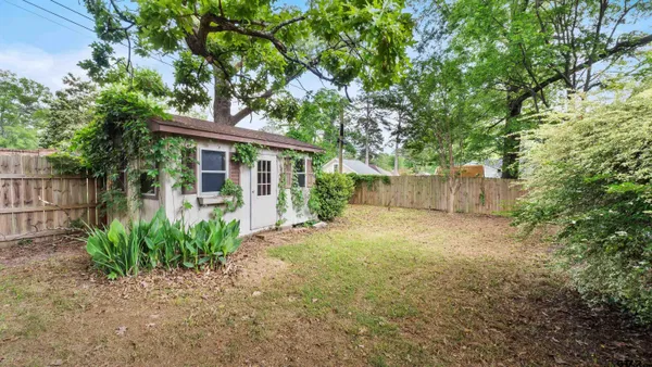 a view of a backyard with plants and large tree