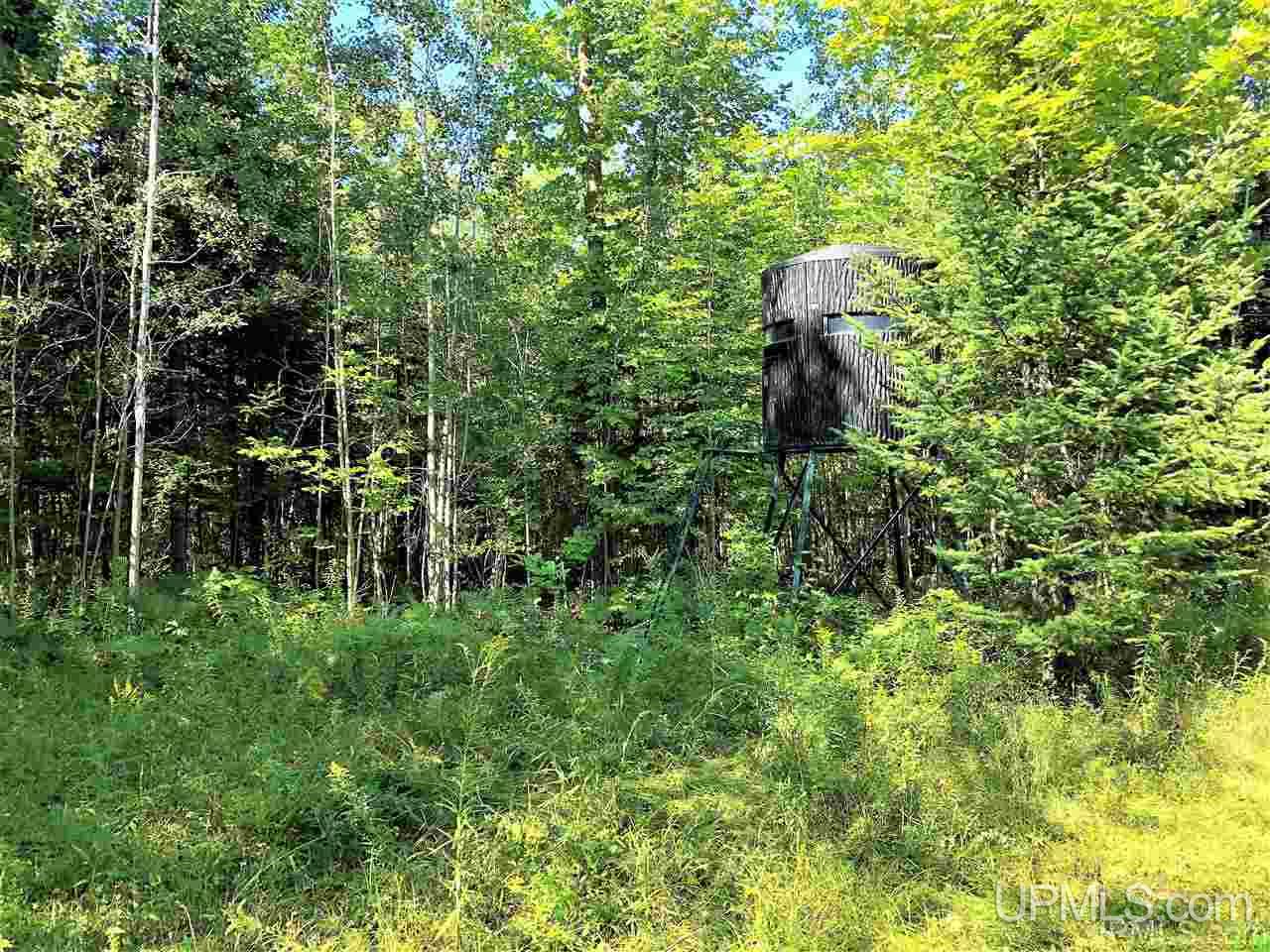 Tbd North Cooper Road Gulliver, MI 49840 - Photo 1 of 9 Gallery Image 1