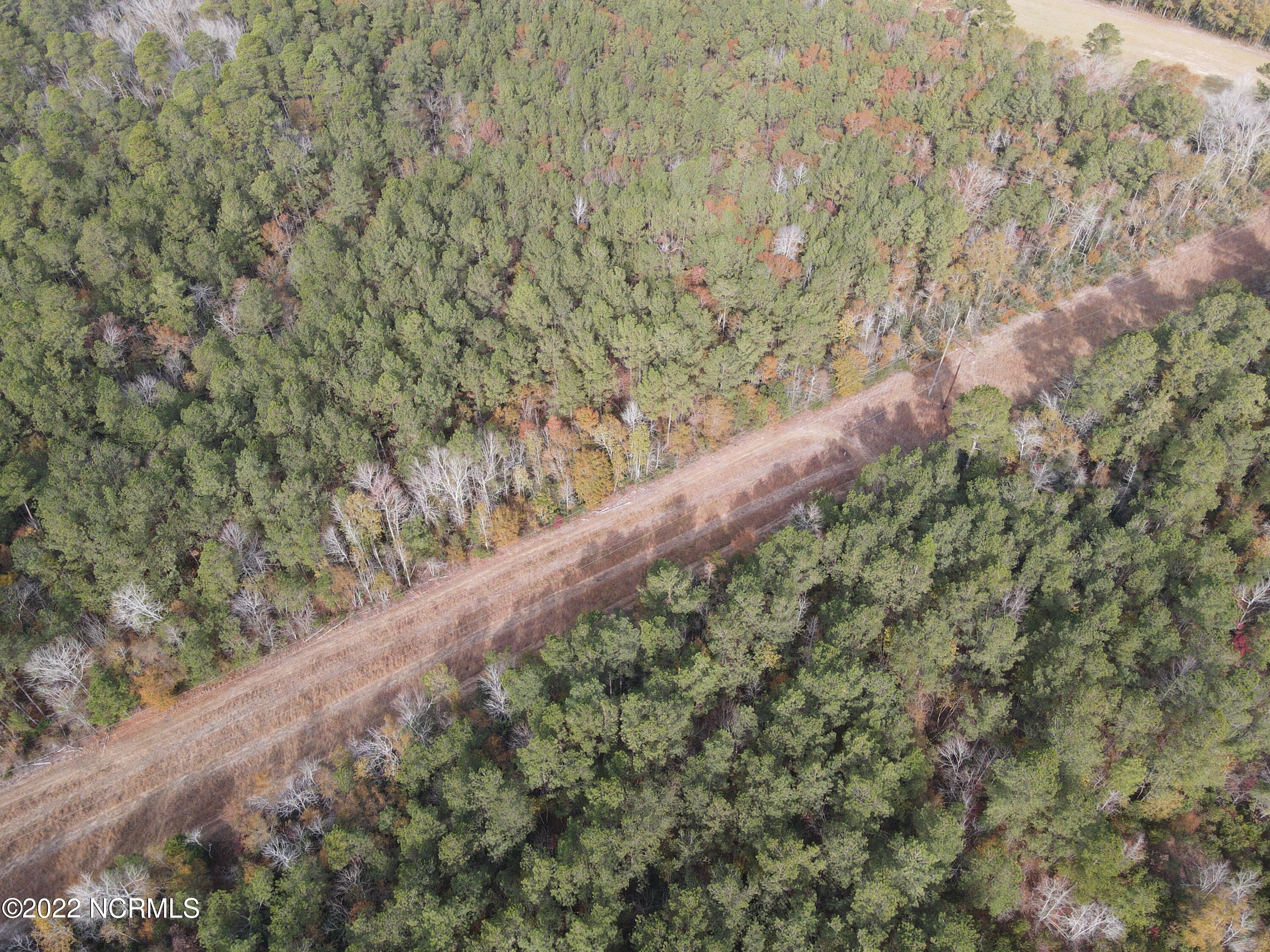 0 Twisted Hickory Road Bladenboro, NC 28320 - Photo 12 of 84 DJI_0788