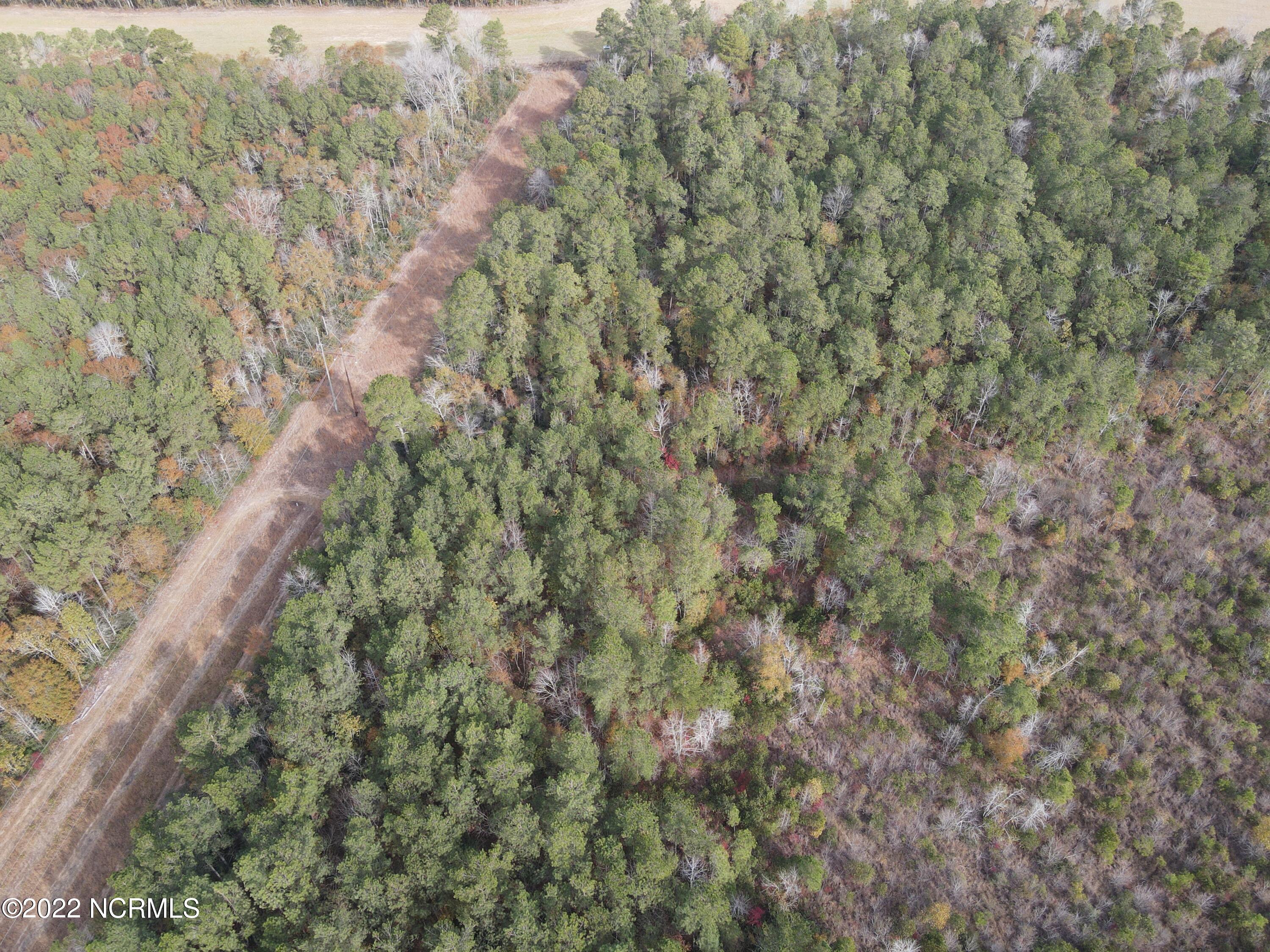 0 Twisted Hickory Road Bladenboro, NC 28320 - Photo 13 of 84 DJI_0789