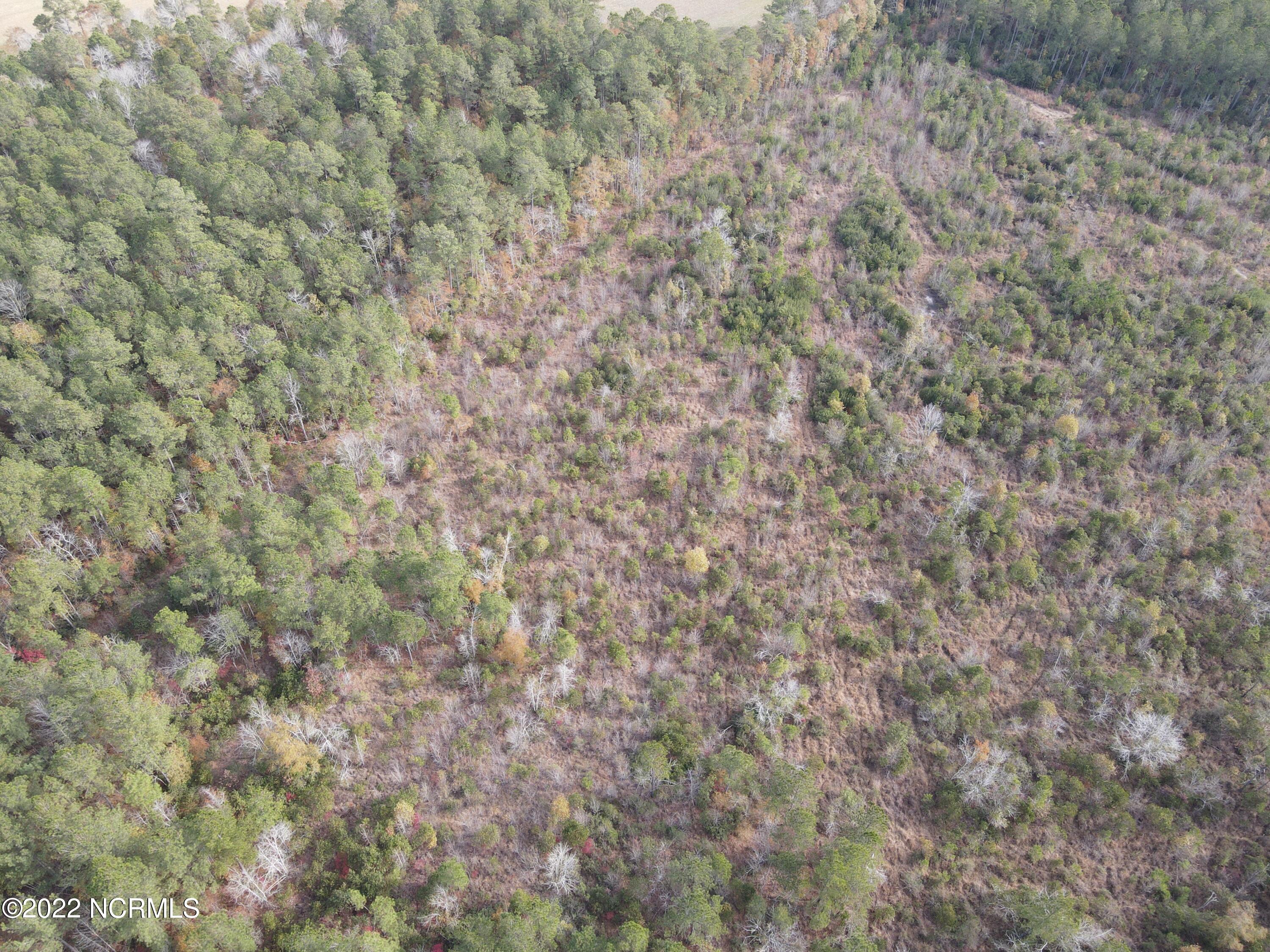 0 Twisted Hickory Road Bladenboro, NC 28320 - Photo 14 of 84 DJI_0790