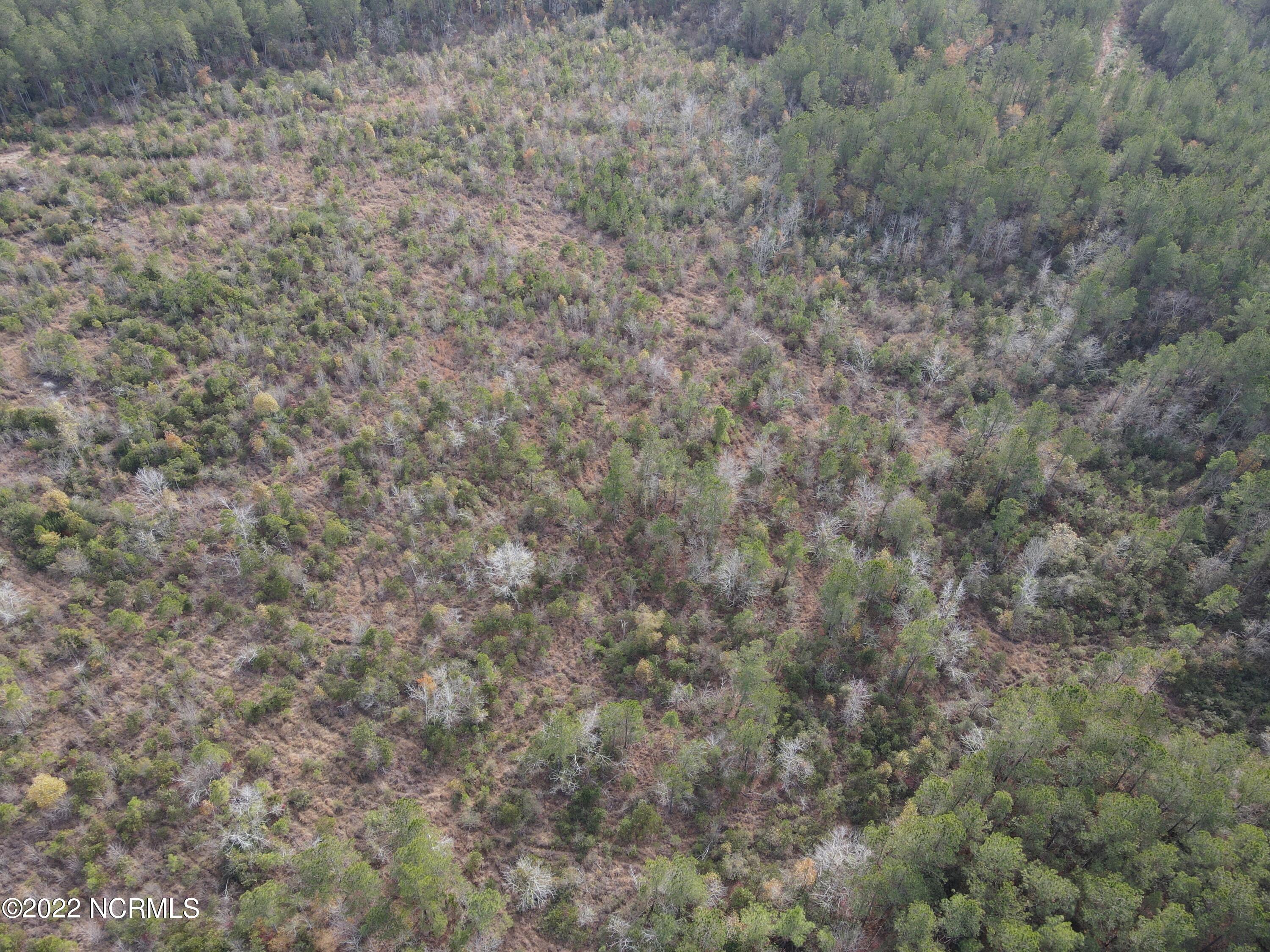 0 Twisted Hickory Road Bladenboro, NC 28320 - Photo 15 of 84 DJI_0791
