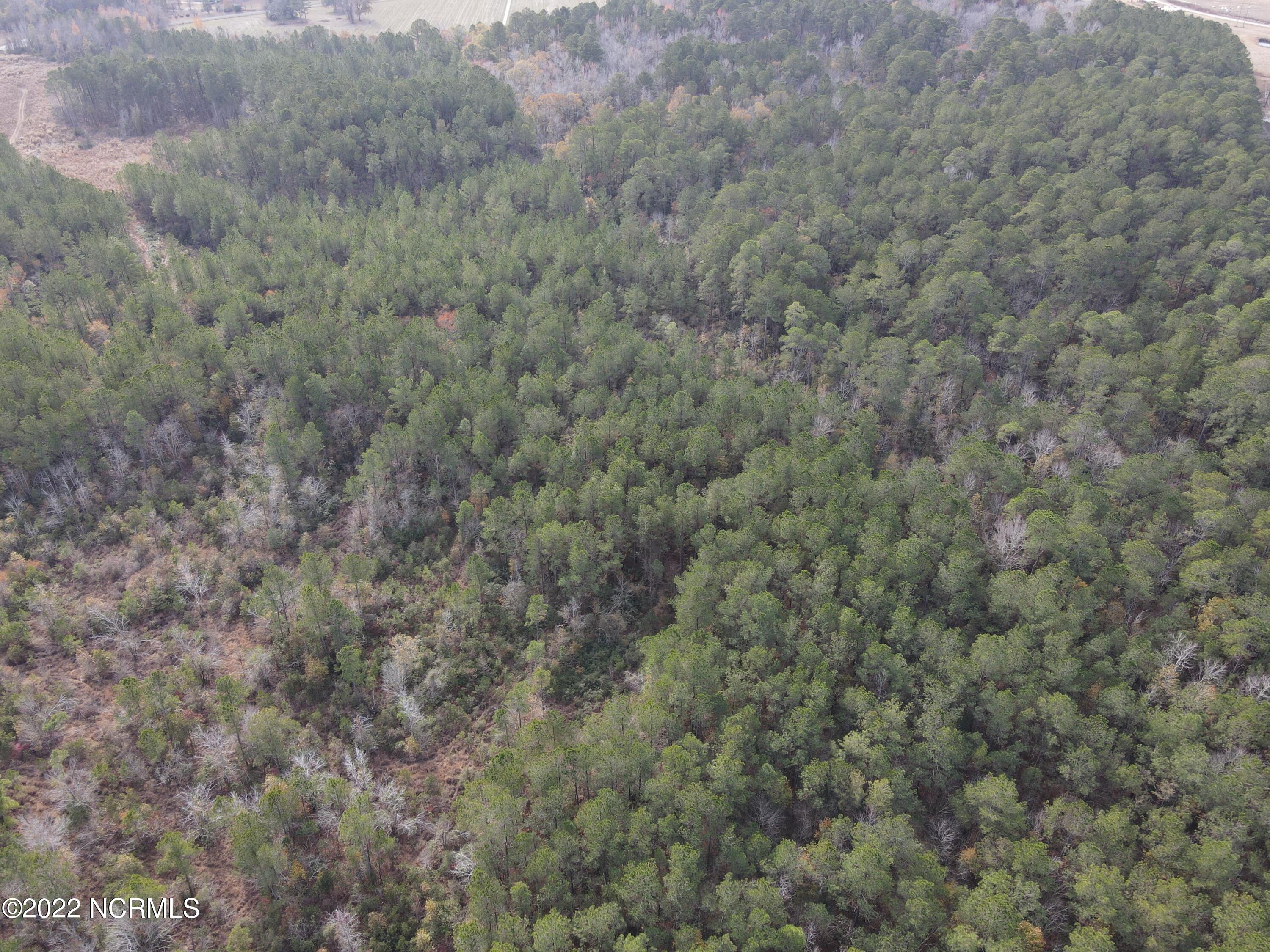 0 Twisted Hickory Road Bladenboro, NC 28320 - Photo 16 of 84 DJI_0792