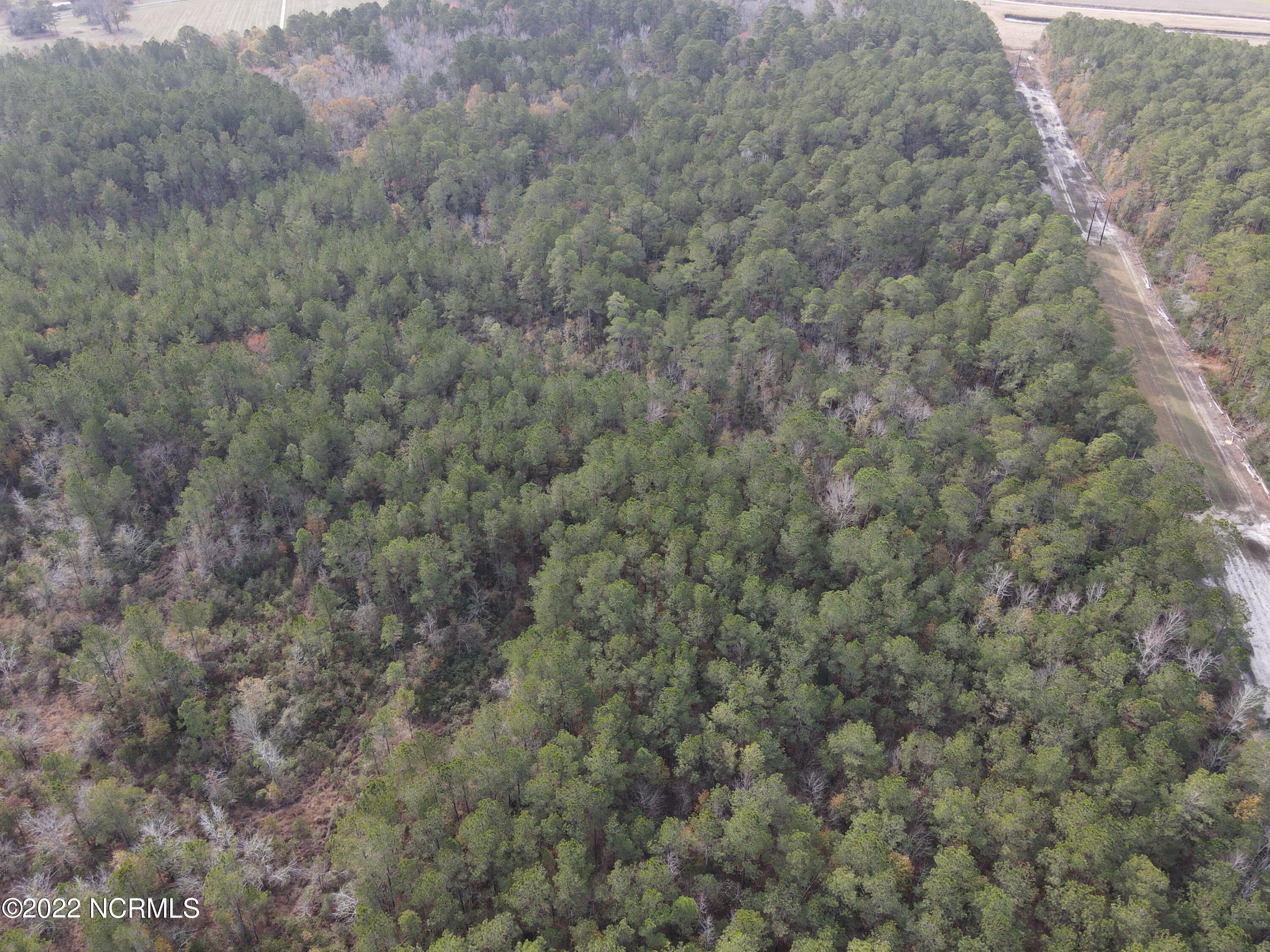 0 Twisted Hickory Road Bladenboro, NC 28320 - Photo 17 of 84 DJI_0793