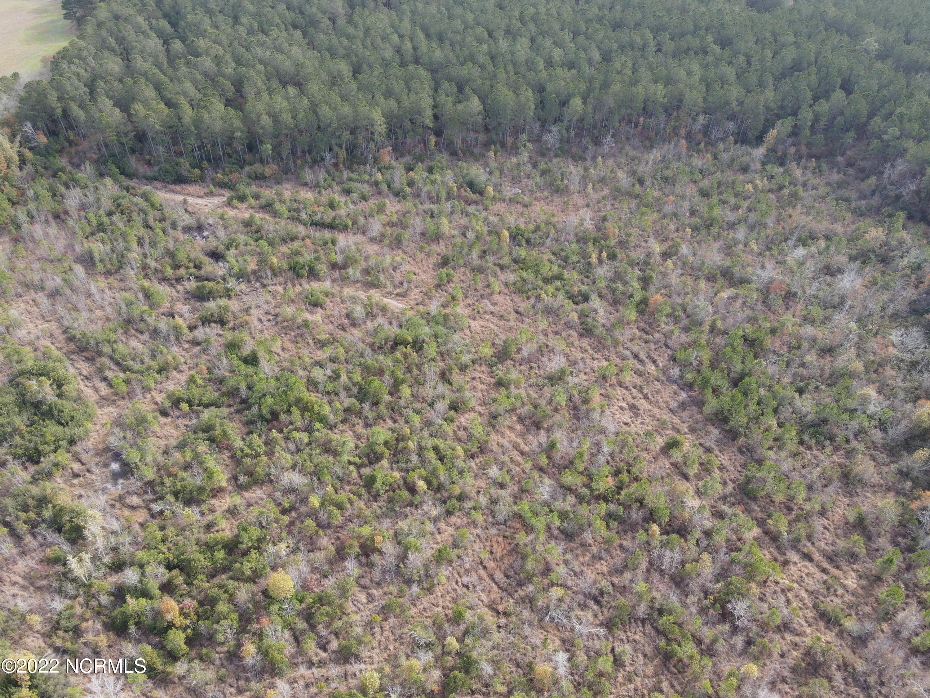 0 Twisted Hickory Road Bladenboro, NC 28320 - Photo 18 of 84 DJI_0794