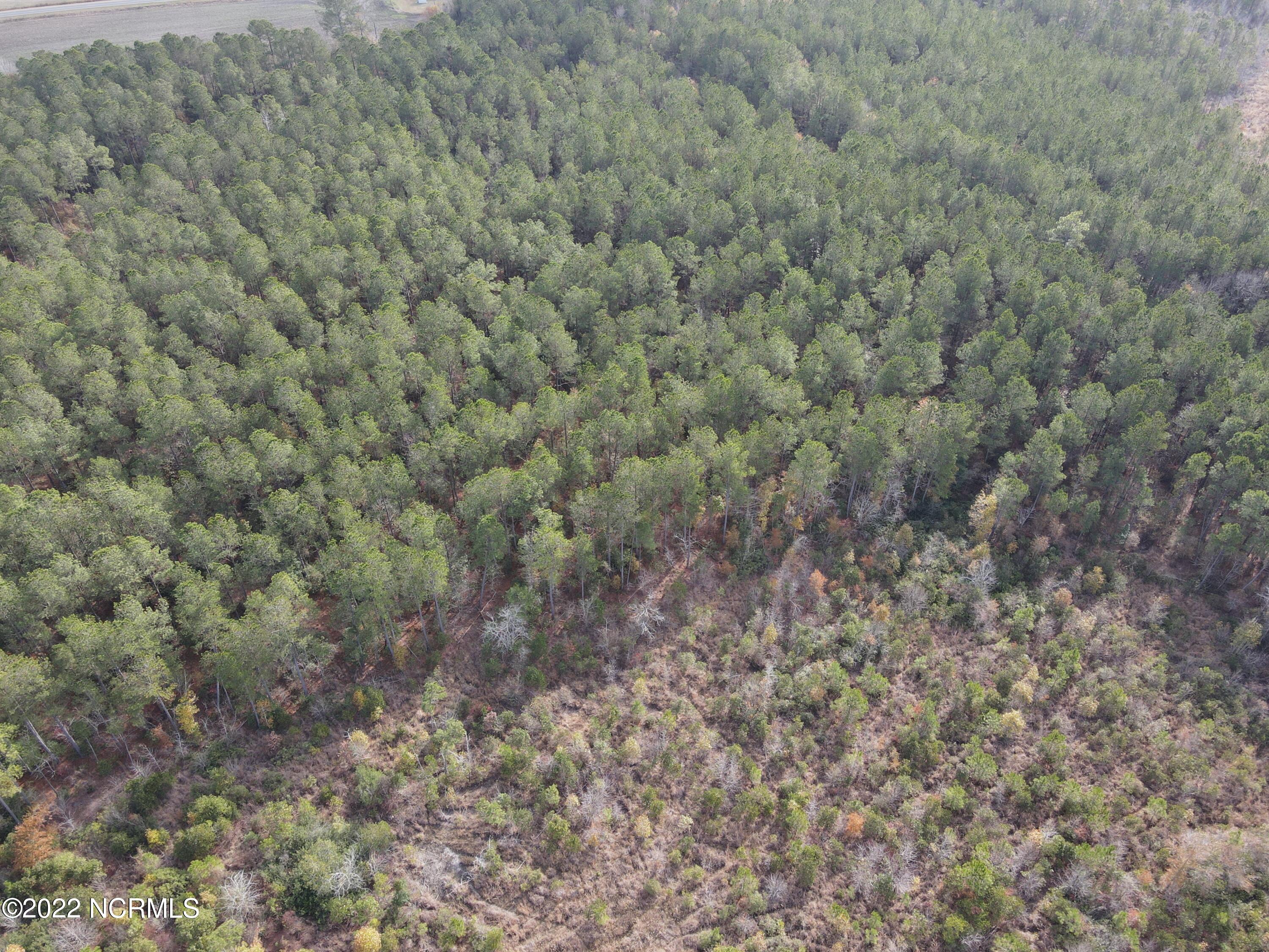 0 Twisted Hickory Road Bladenboro, NC 28320 - Photo 19 of 84 DJI_0795