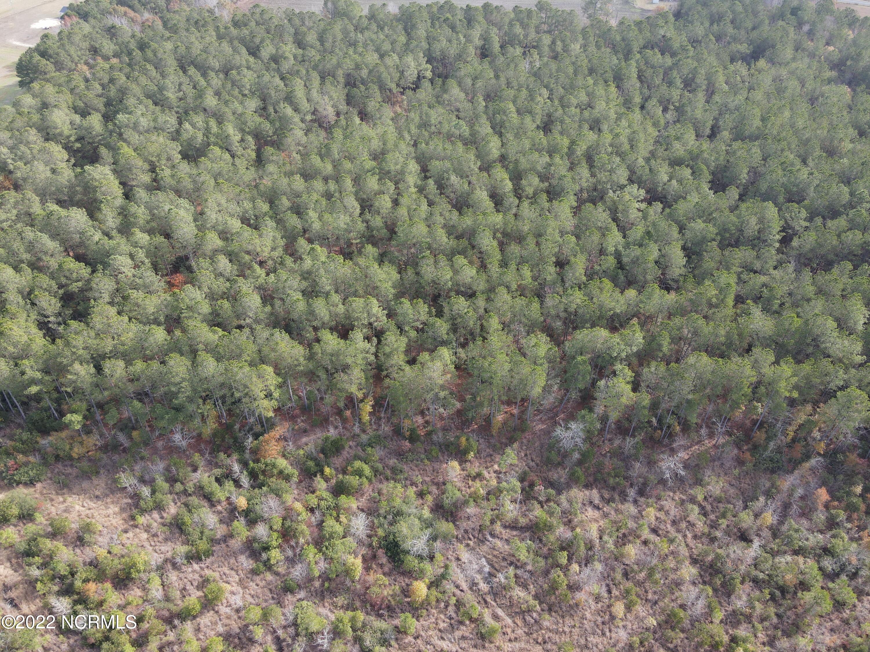 0 Twisted Hickory Road Bladenboro, NC 28320 - Photo 20 of 84 DJI_0796