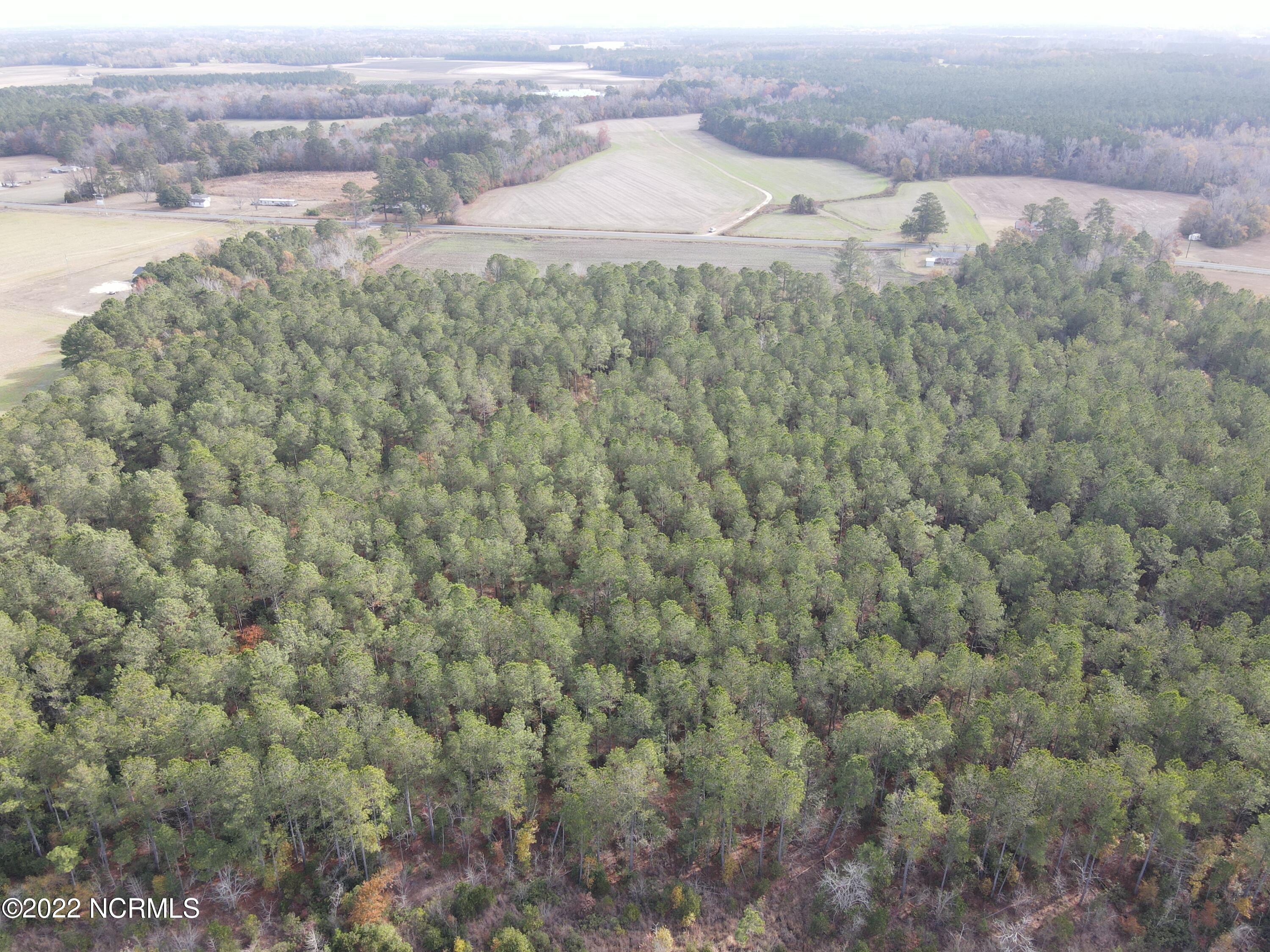 0 Twisted Hickory Road Bladenboro, NC 28320 - Photo 21 of 84 DJI_0797