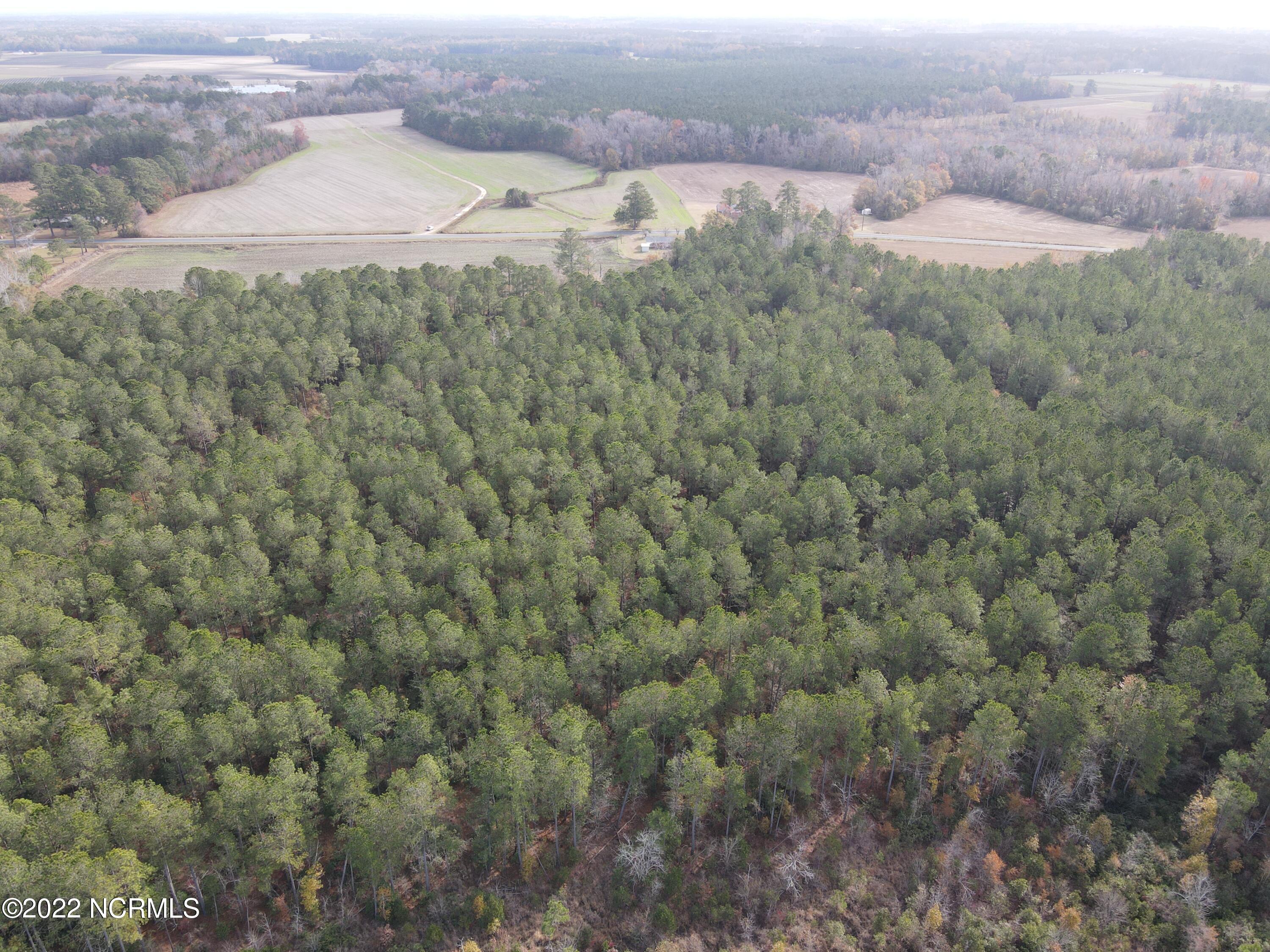 0 Twisted Hickory Road Bladenboro, NC 28320 - Photo 22 of 84 DJI_0798