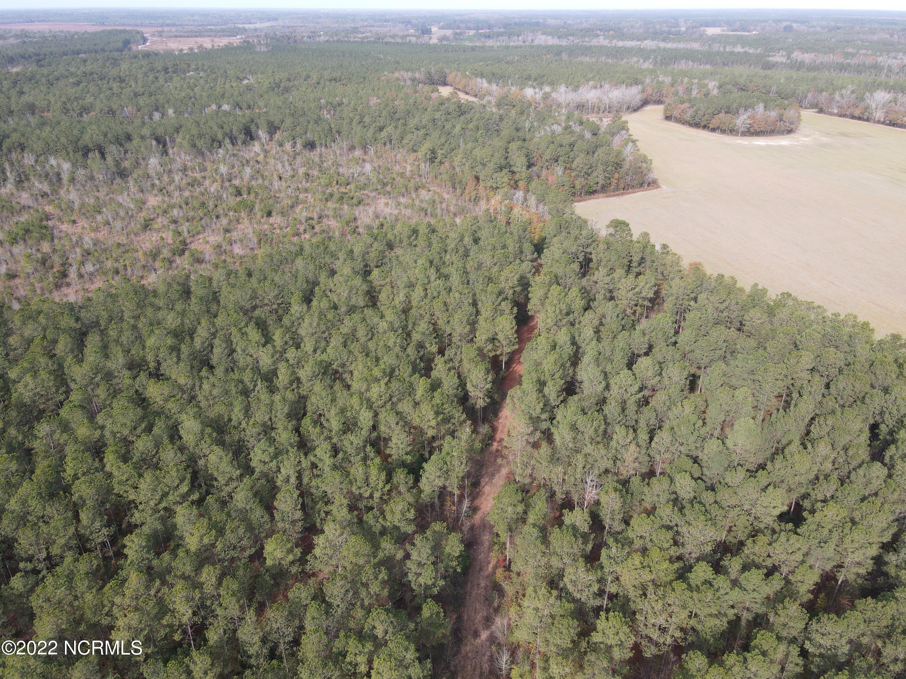 0 Twisted Hickory Road Bladenboro, NC 28320 - Photo 24 of 84 DJI_0800