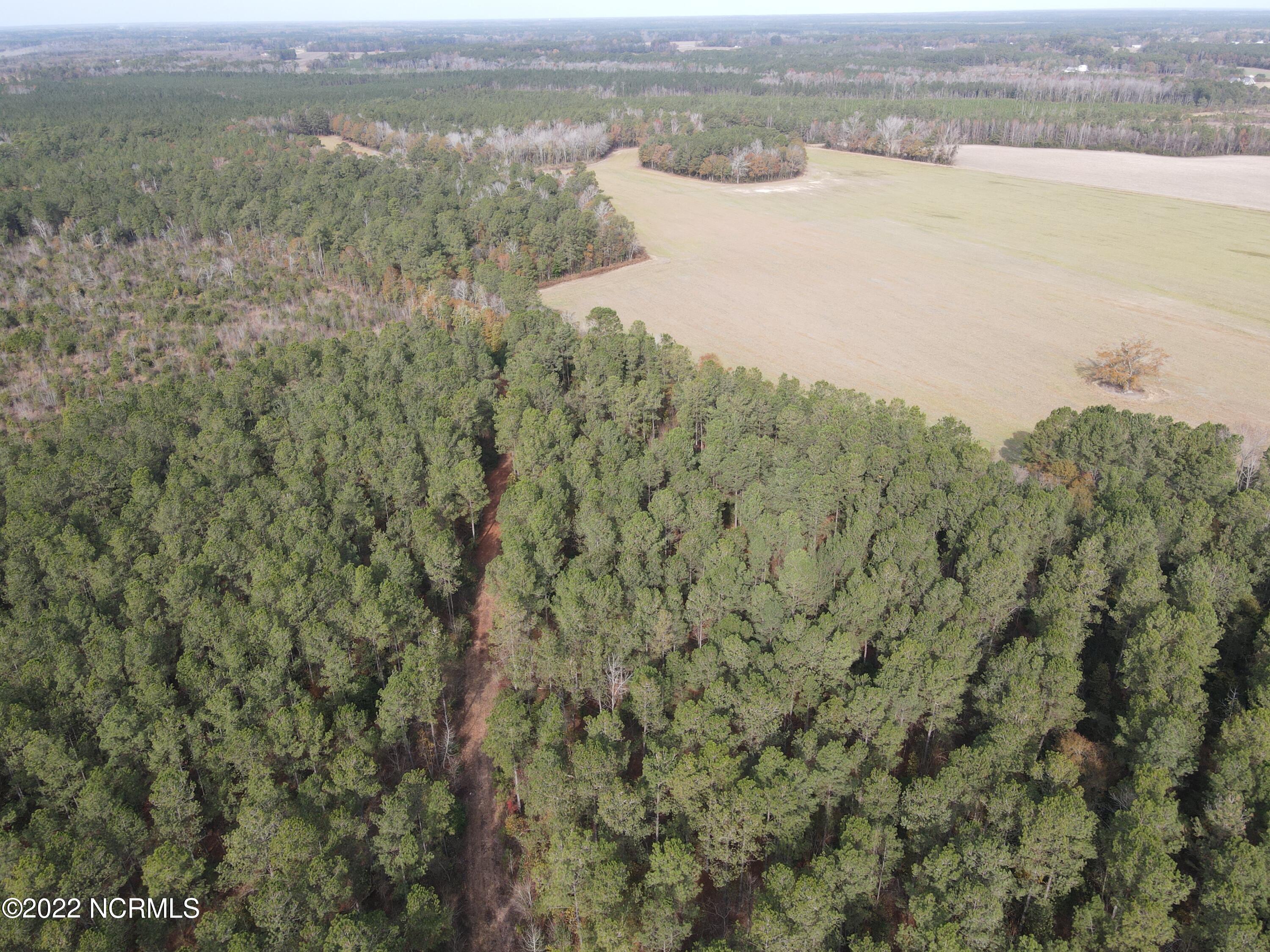 0 Twisted Hickory Road Bladenboro, NC 28320 - Photo 28 of 84 DJI_0804