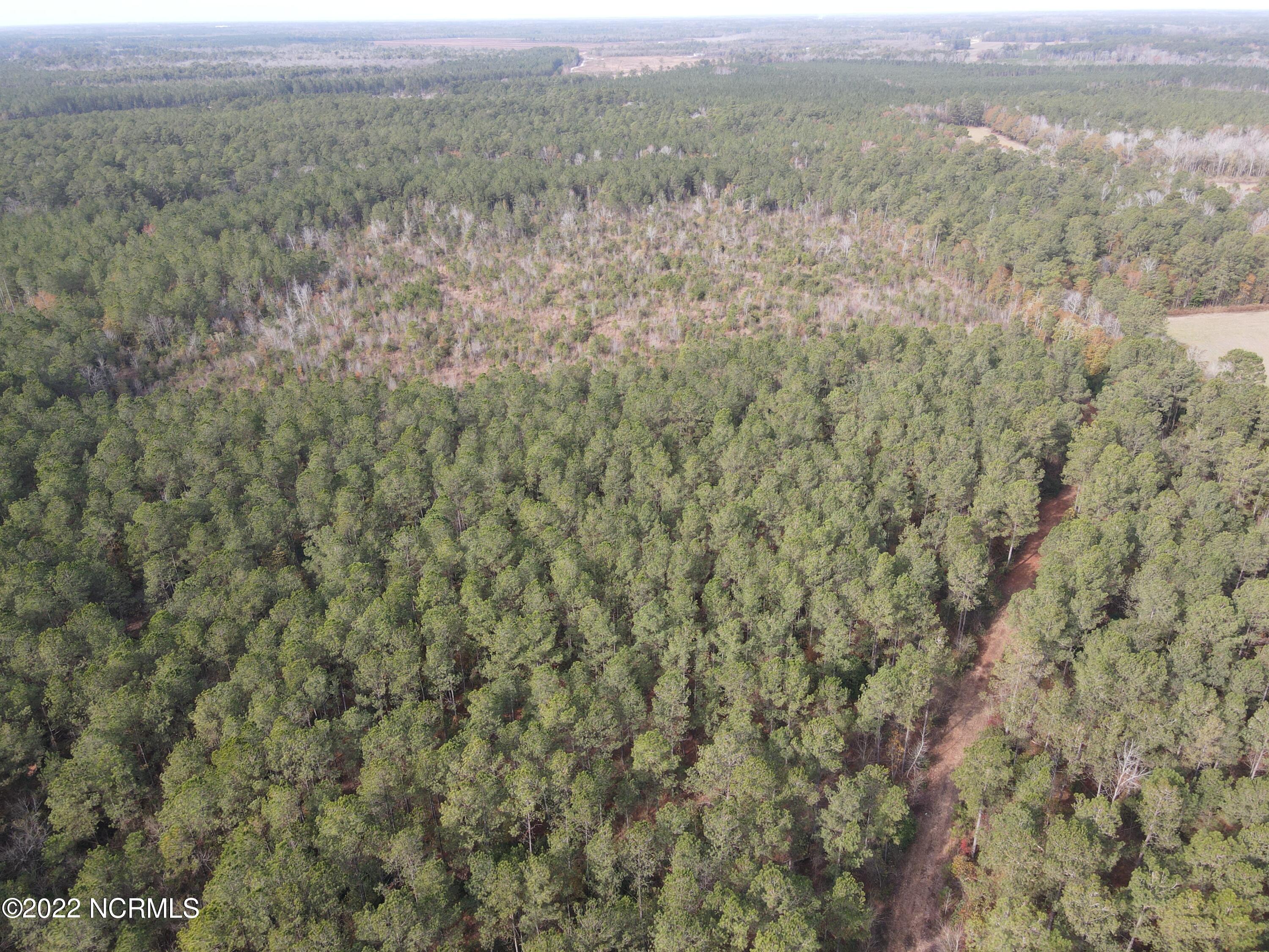 0 Twisted Hickory Road Bladenboro, NC 28320 - Photo 29 of 84 DJI_0805