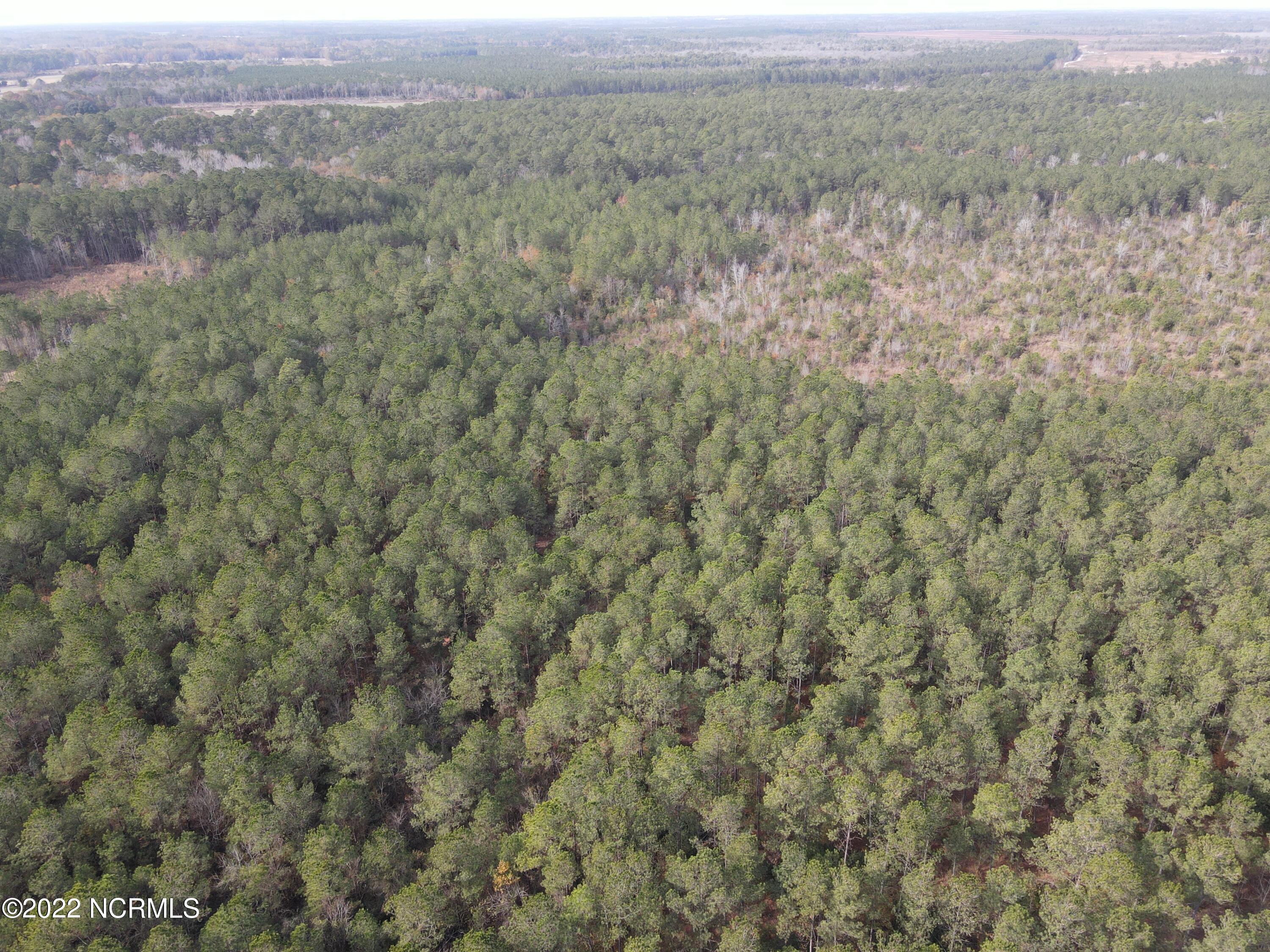 0 Twisted Hickory Road Bladenboro, NC 28320 - Photo 30 of 84 DJI_0806