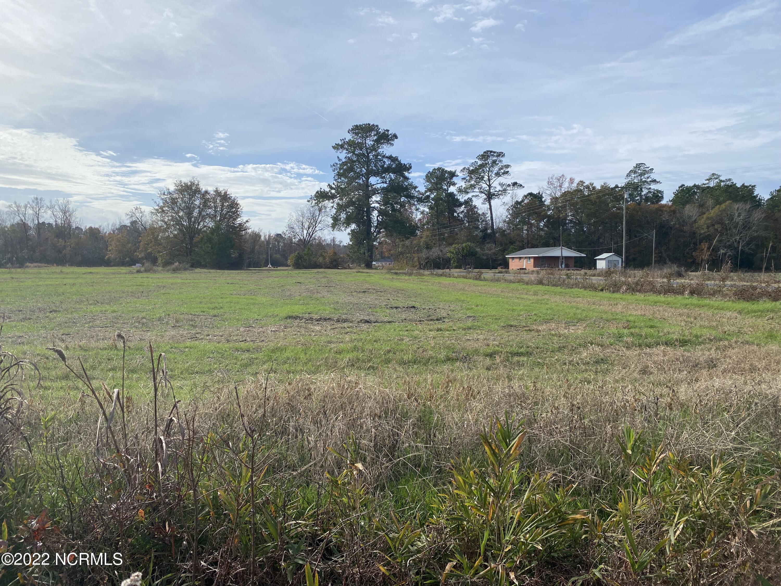 0 Twisted Hickory Road Bladenboro, NC 28320 - Photo 34 of 84 IMG_8337