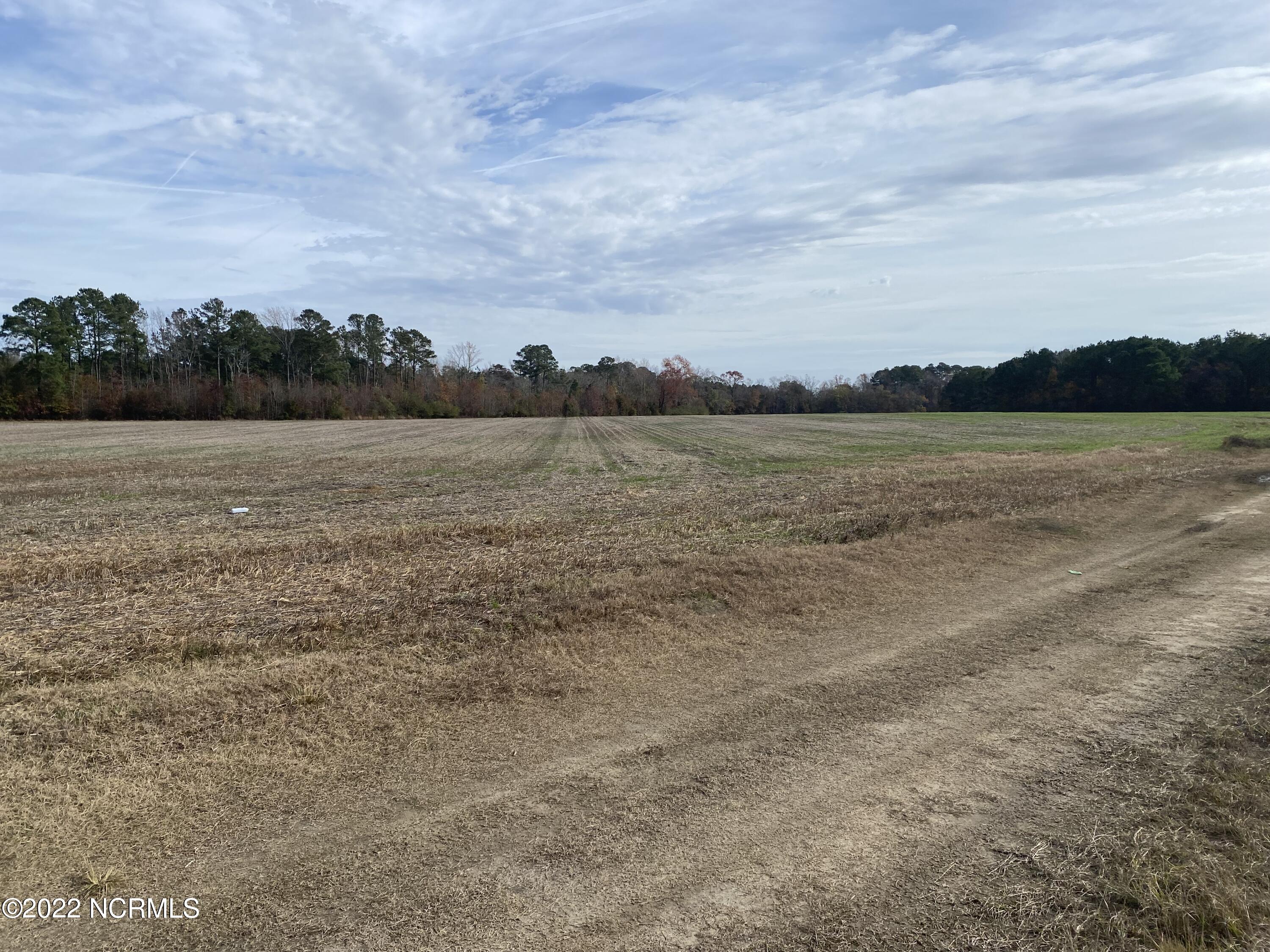 0 Twisted Hickory Road Bladenboro, NC 28320 - Photo 38 of 84 IMG_8341