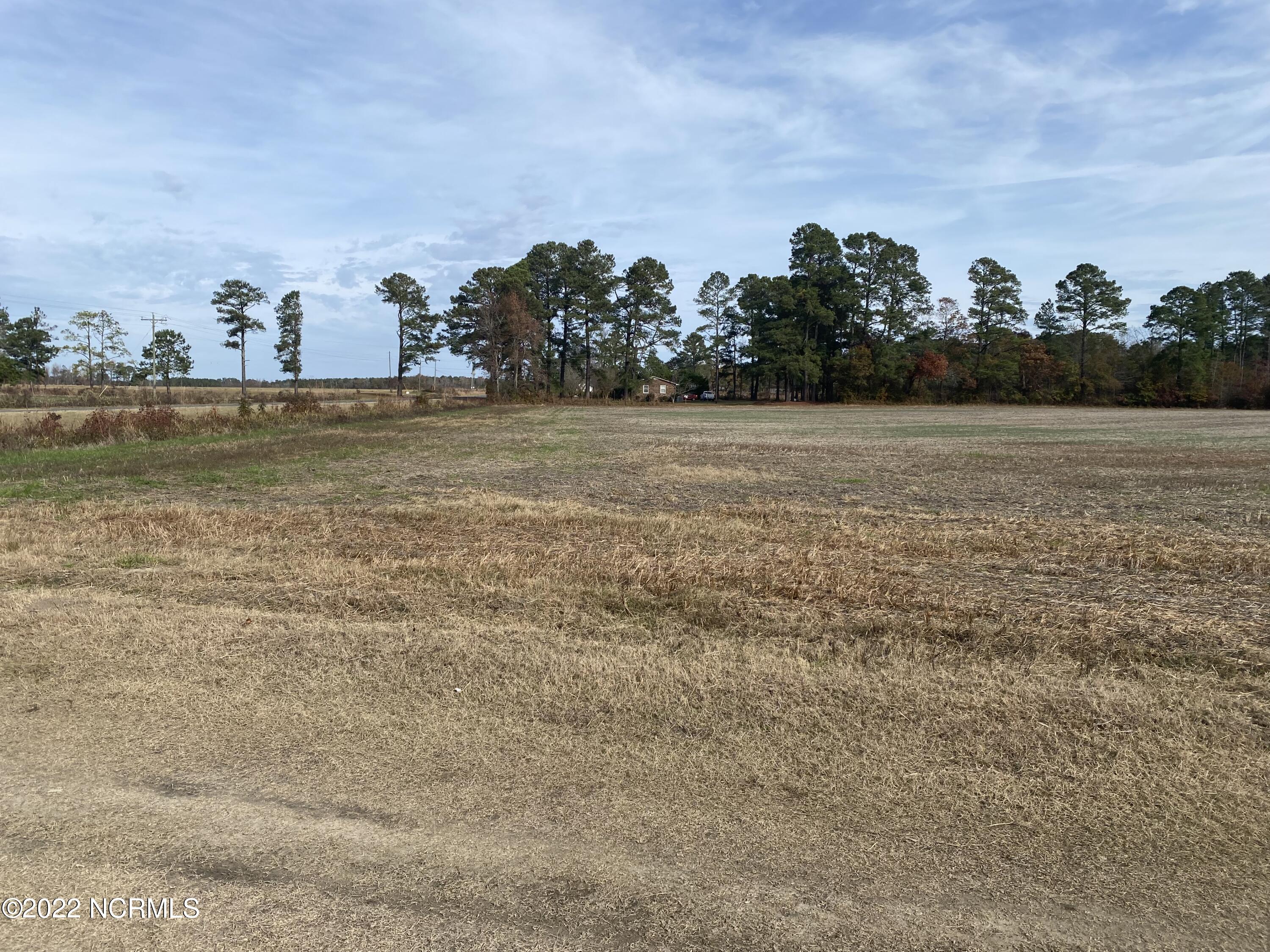 0 Twisted Hickory Road Bladenboro, NC 28320 - Photo 40 of 84 IMG_8343