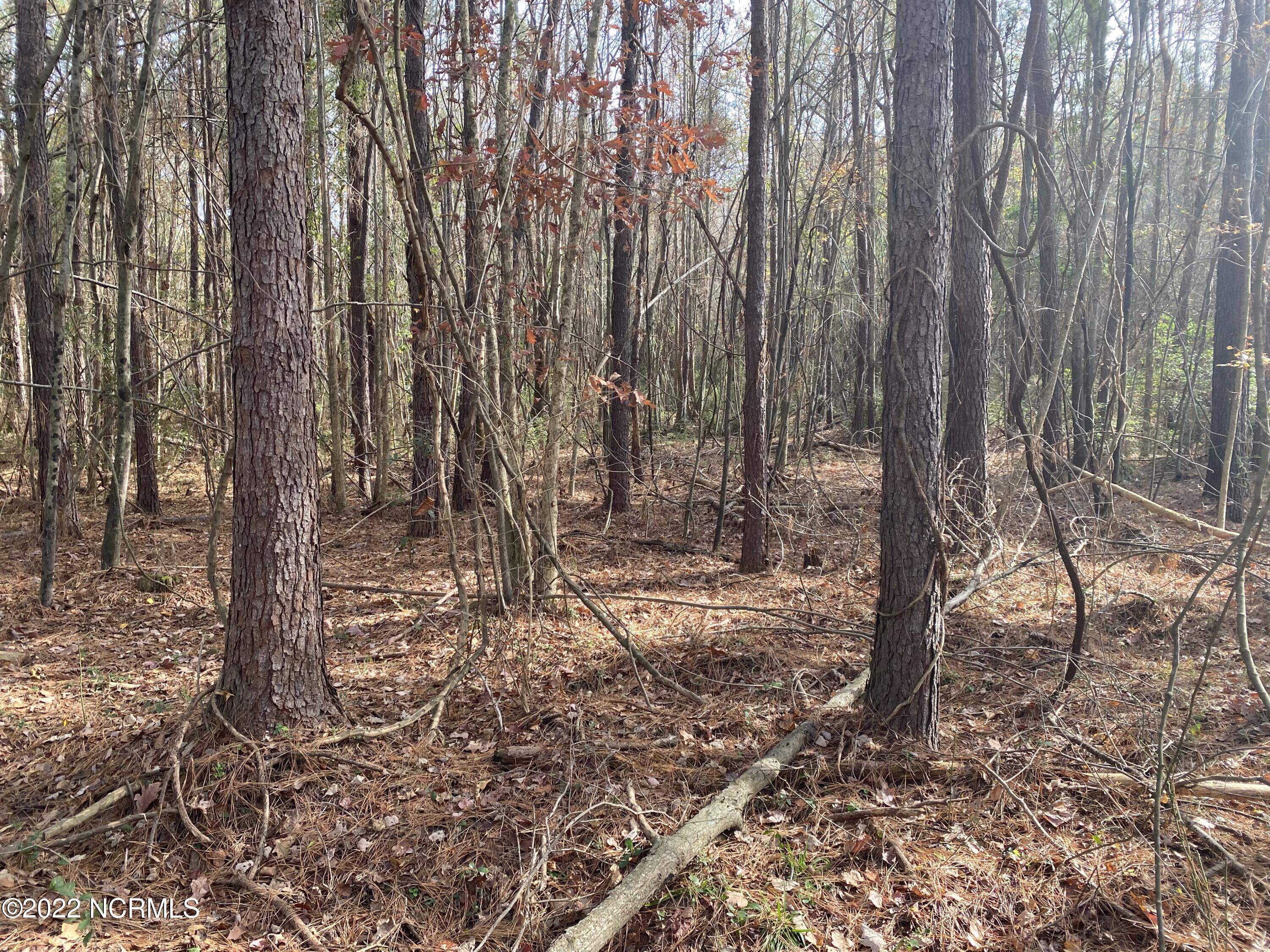 0 Twisted Hickory Road Bladenboro, NC 28320 - Photo 44 of 84 IMG_8348