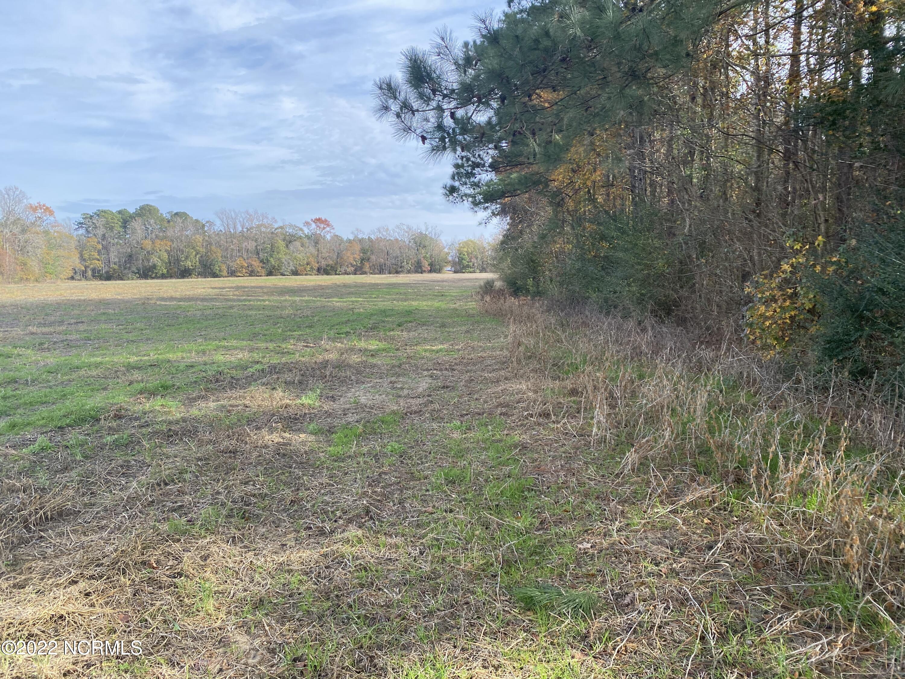 0 Twisted Hickory Road Bladenboro, NC 28320 - Photo 48 of 84 IMG_8353