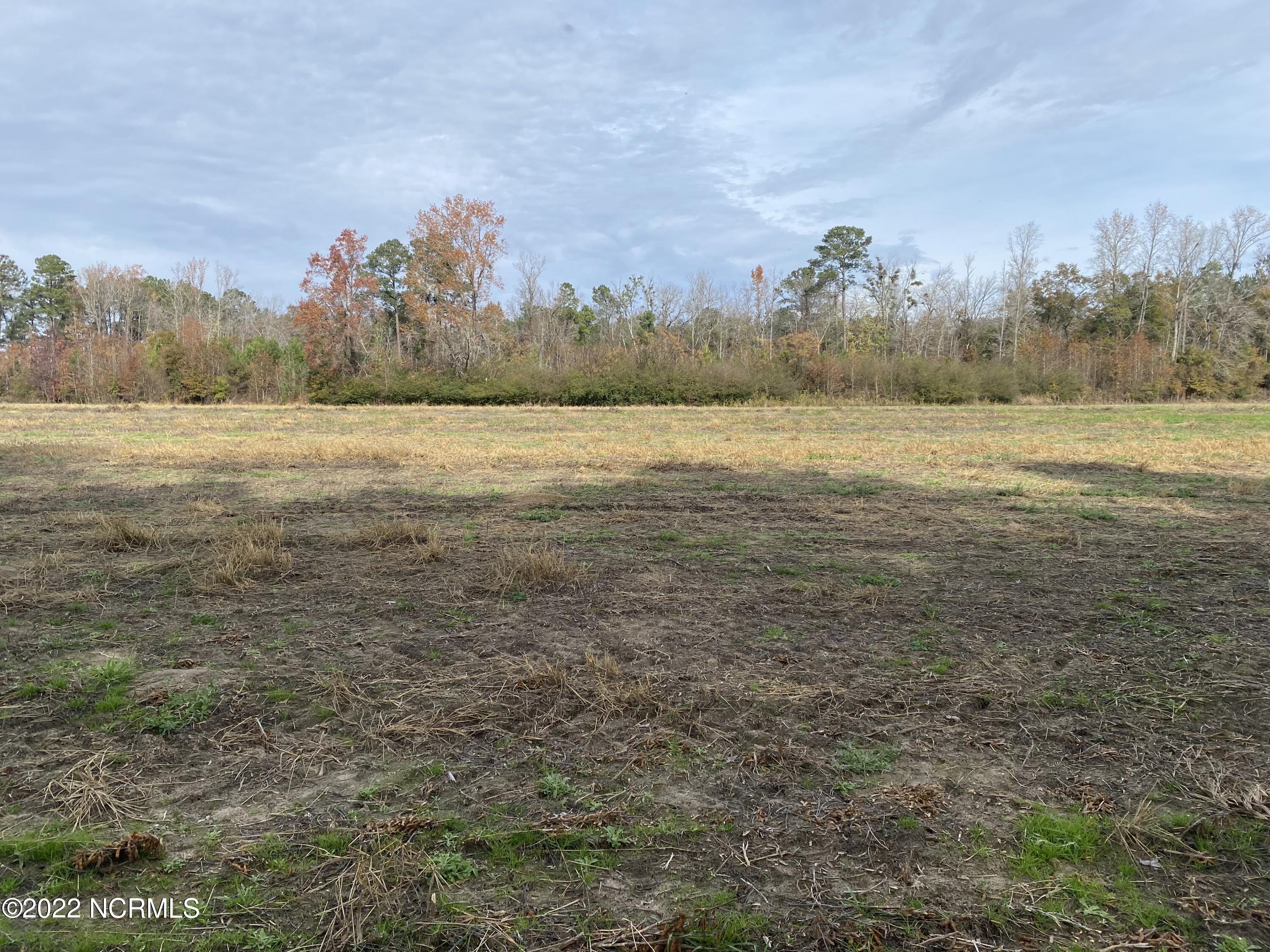 0 Twisted Hickory Road Bladenboro, NC 28320 - Photo 50 of 84 IMG_8355