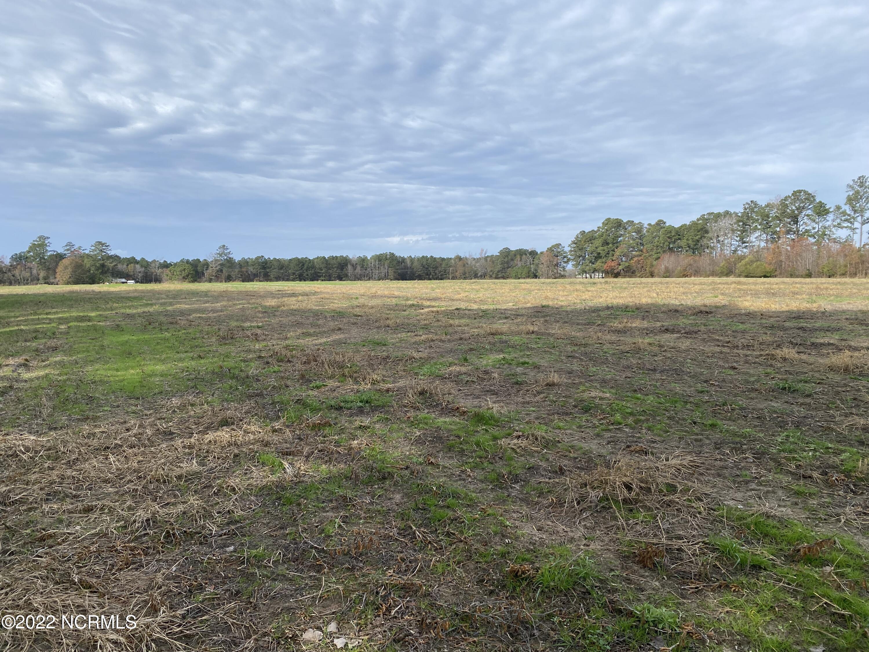 0 Twisted Hickory Road Bladenboro, NC 28320 - Photo 51 of 84 IMG_8356