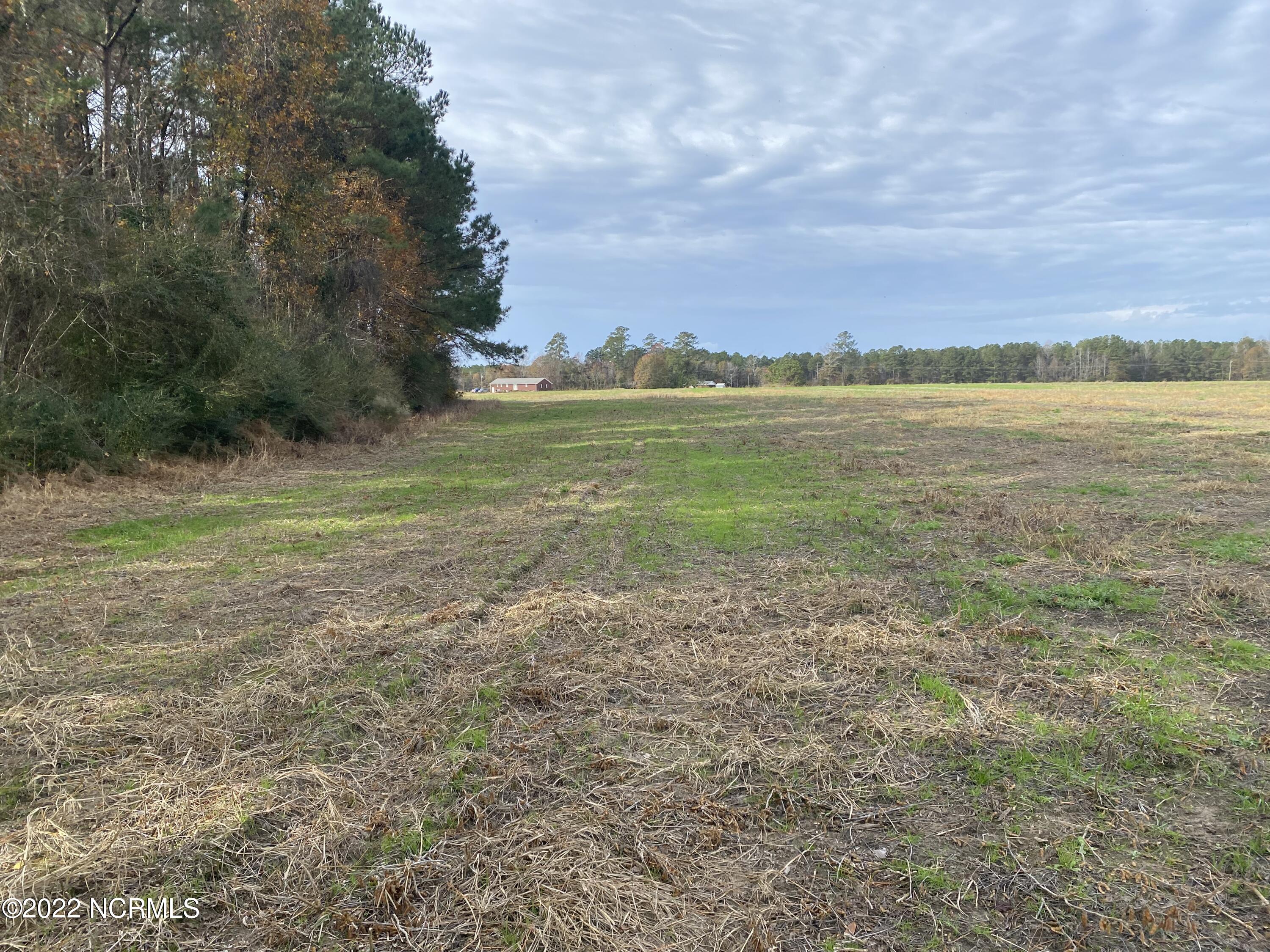 0 Twisted Hickory Road Bladenboro, NC 28320 - Photo 52 of 84 IMG_8357