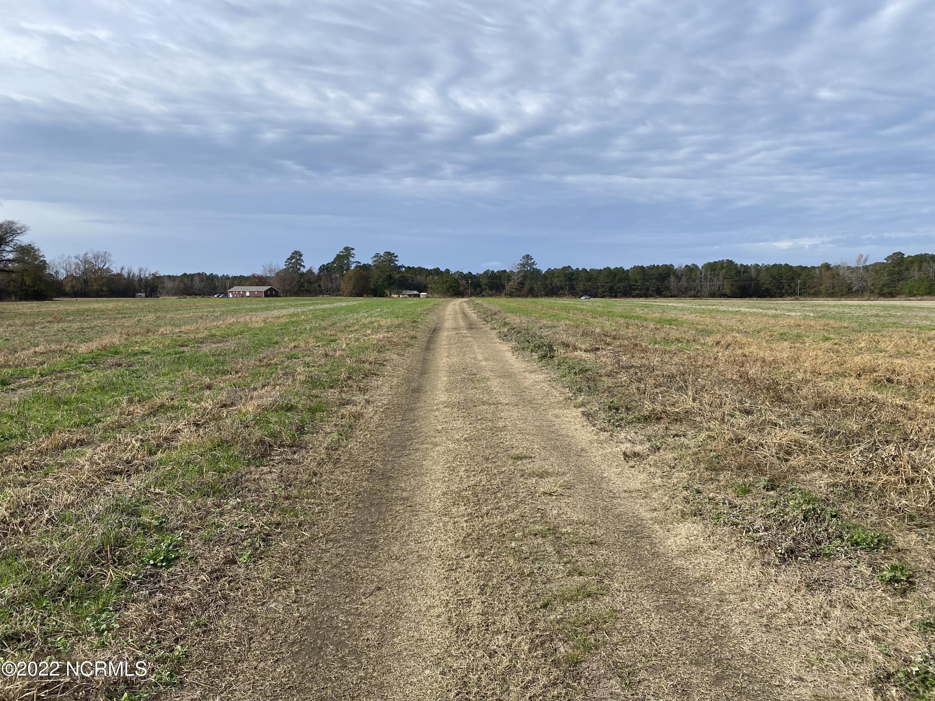 0 Twisted Hickory Road Bladenboro, NC 28320 - Photo 53 of 84 IMG_8358
