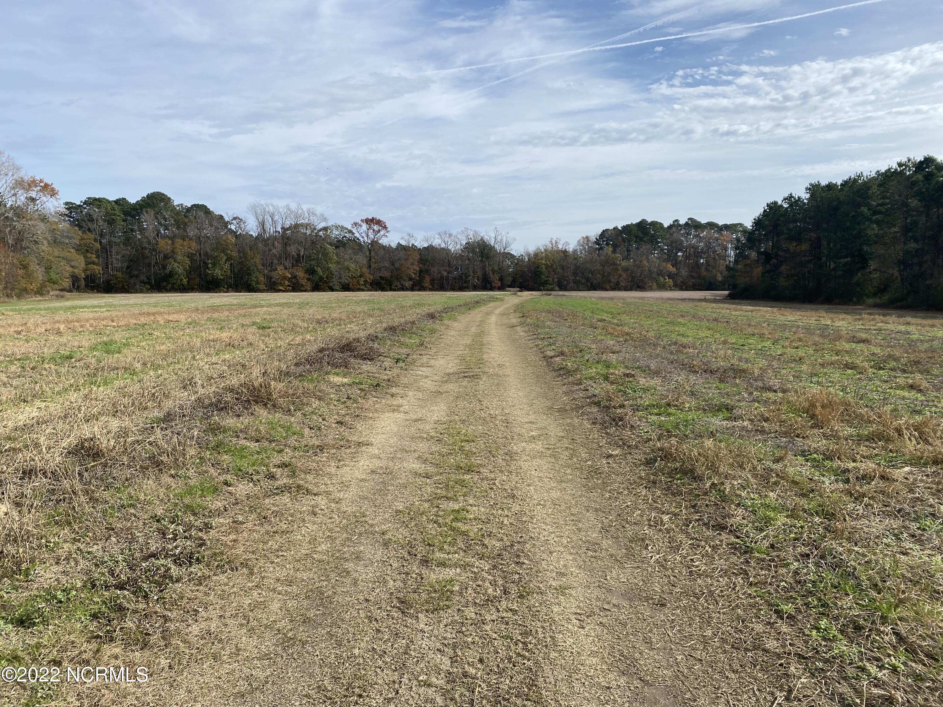 0 Twisted Hickory Road Bladenboro, NC 28320 - Photo 54 of 84 IMG_8359