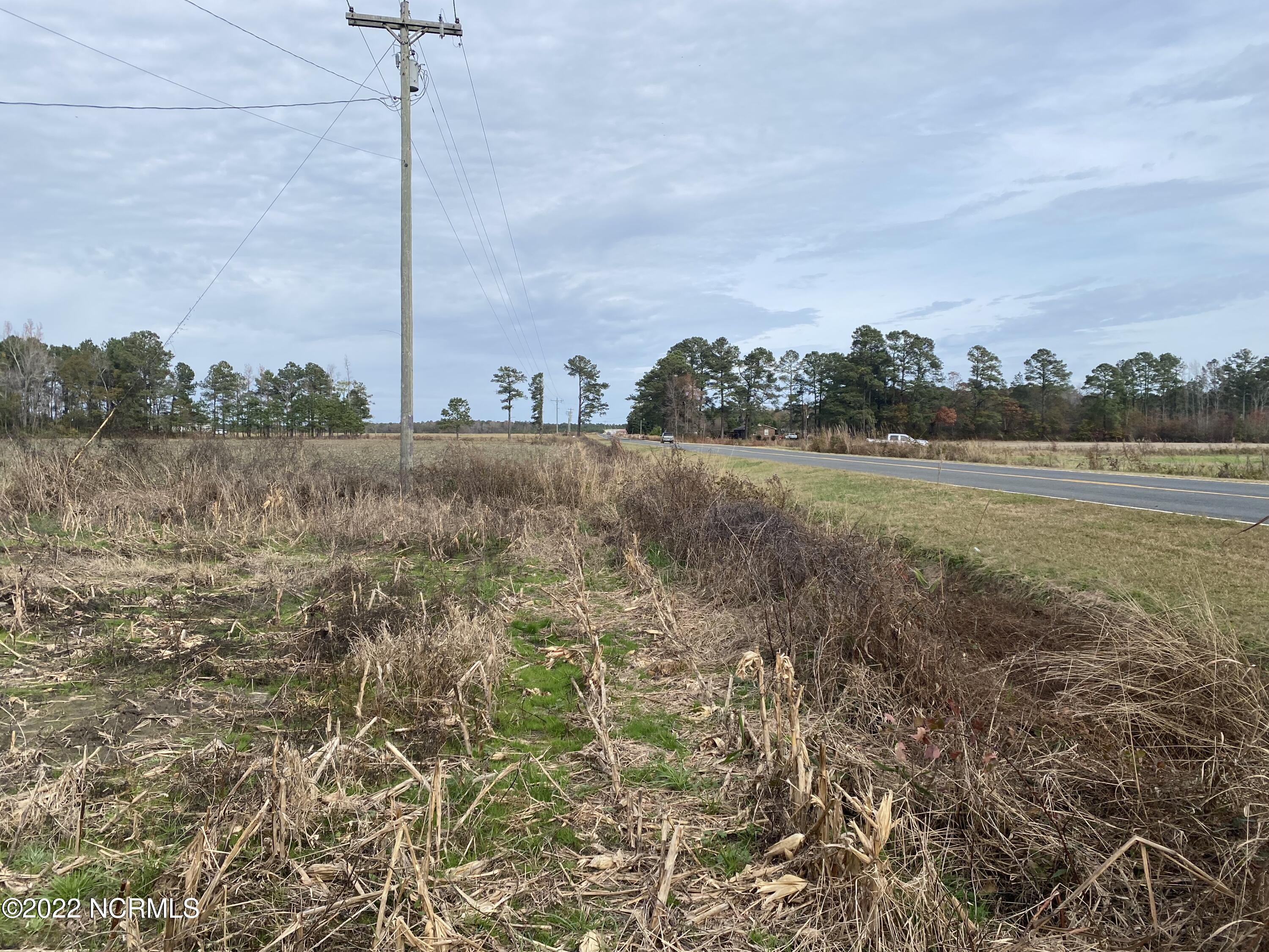 0 Twisted Hickory Road Bladenboro, NC 28320 - Photo 55 of 84 IMG_8360