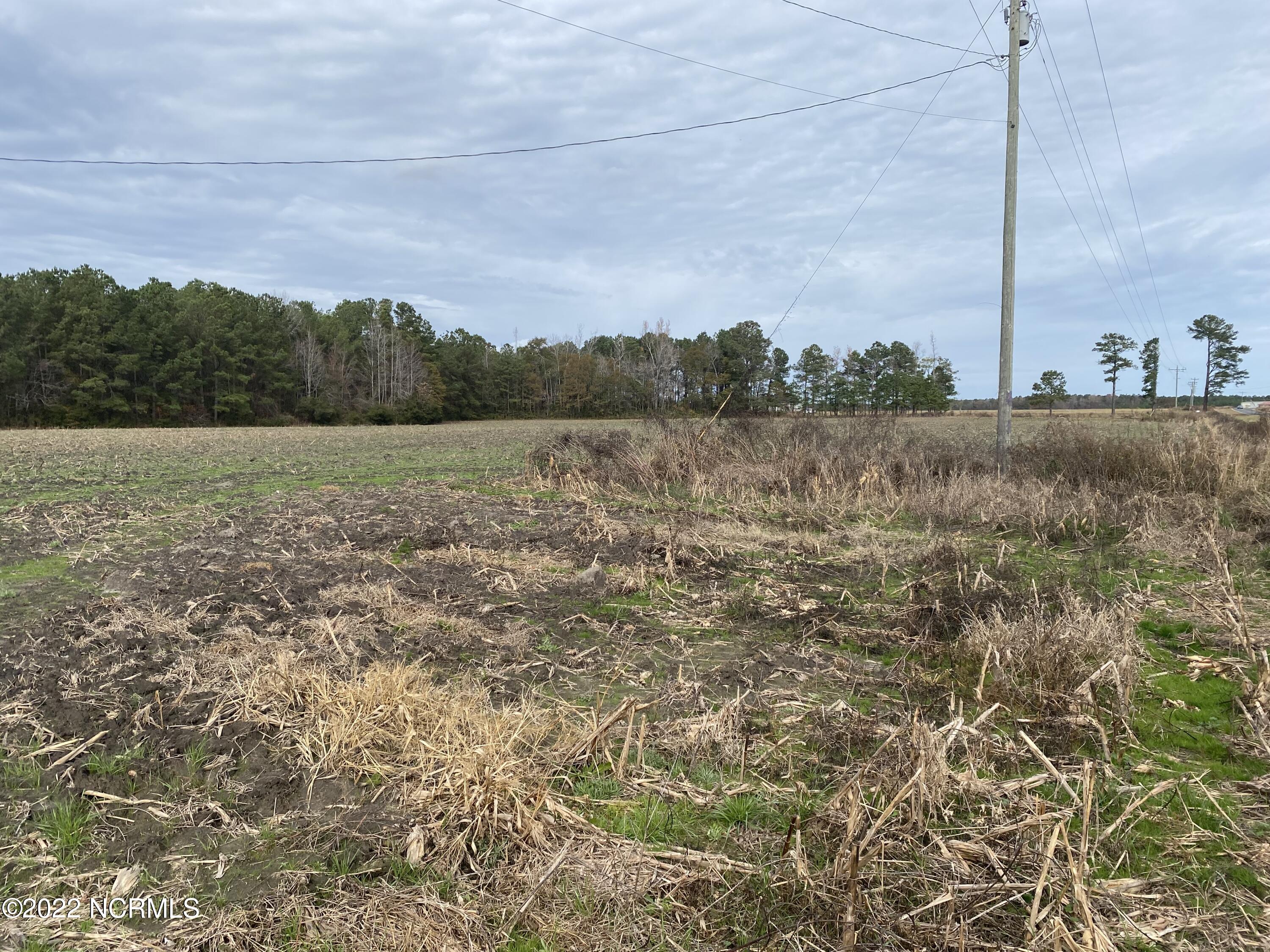 0 Twisted Hickory Road Bladenboro, NC 28320 - Photo 56 of 84 IMG_8361