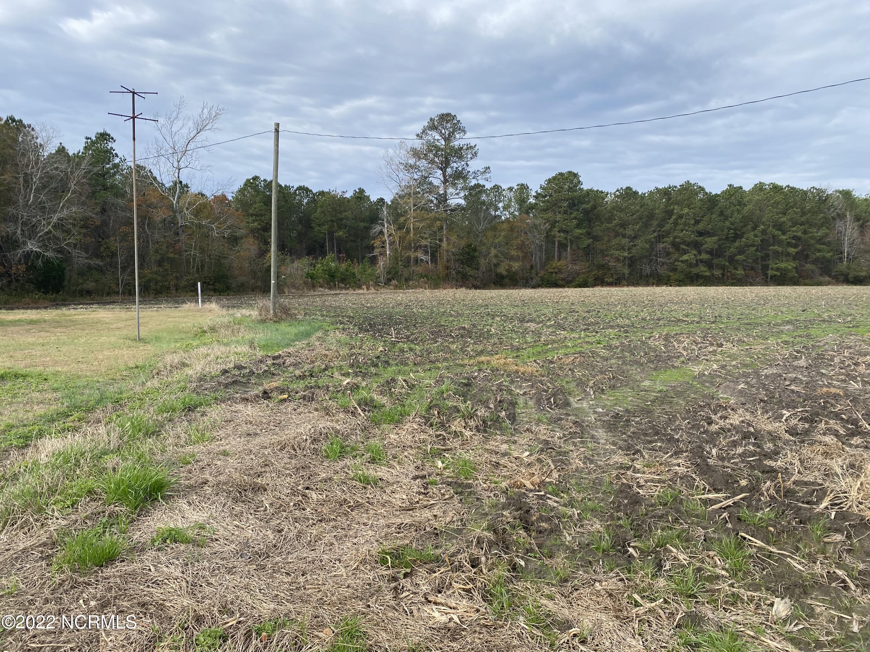0 Twisted Hickory Road Bladenboro, NC 28320 - Photo 58 of 84 IMG_8363