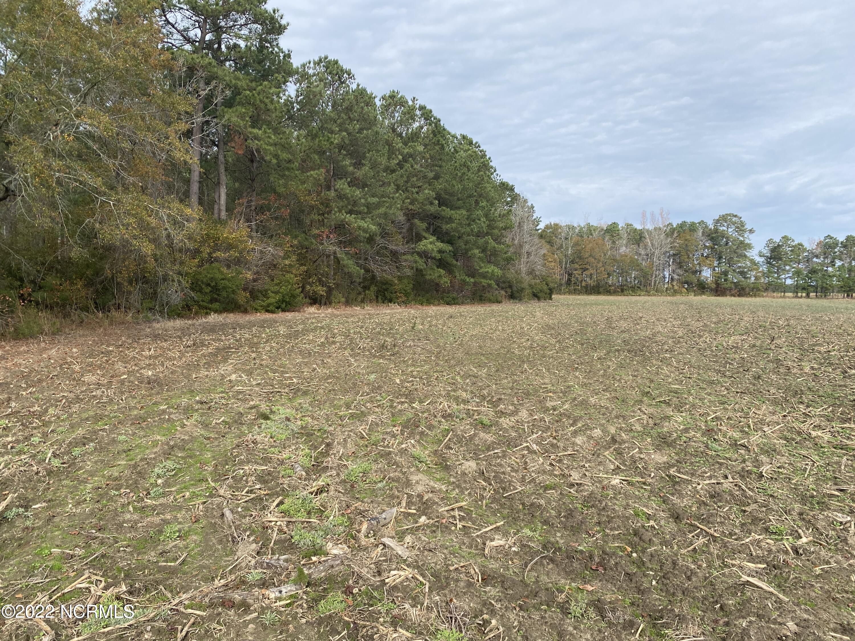 0 Twisted Hickory Road Bladenboro, NC 28320 - Photo 59 of 84 IMG_8364