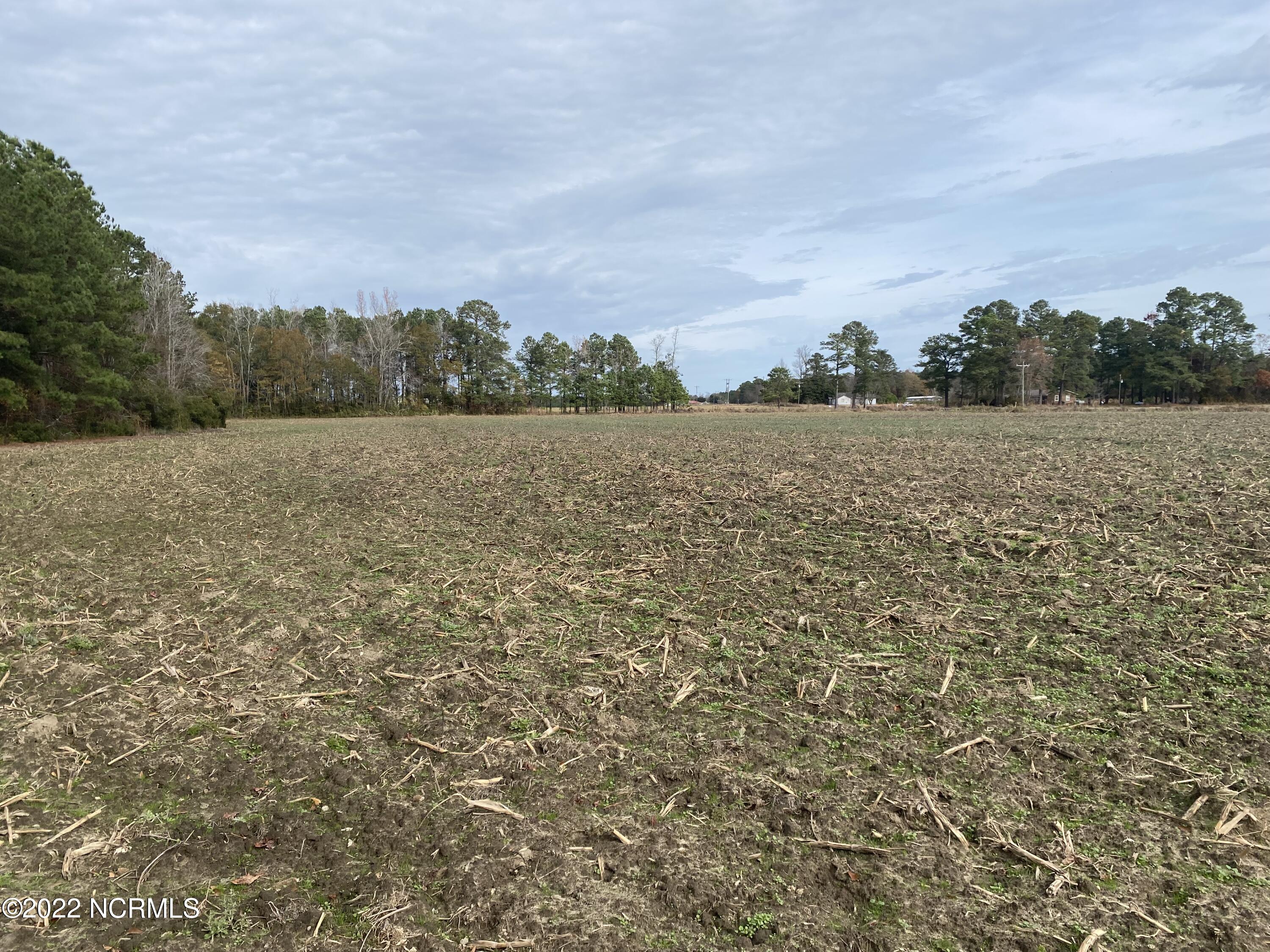 0 Twisted Hickory Road Bladenboro, NC 28320 - Photo 60 of 84 IMG_8365
