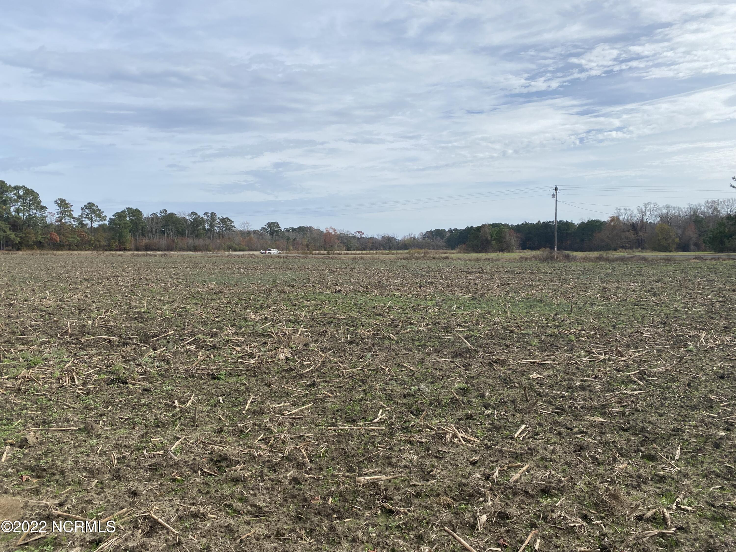 0 Twisted Hickory Road Bladenboro, NC 28320 - Photo 62 of 84 IMG_8367