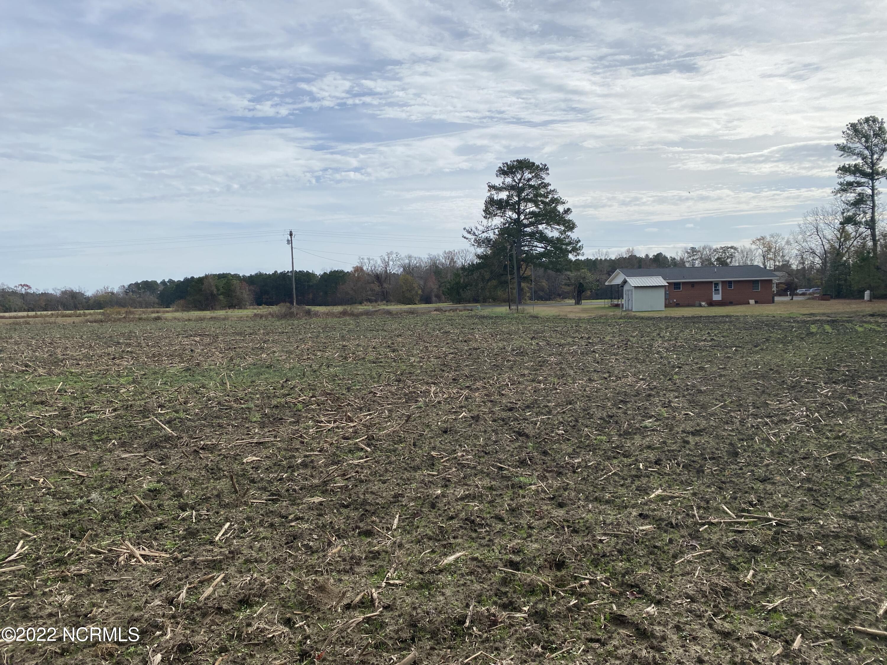 0 Twisted Hickory Road Bladenboro, NC 28320 - Photo 63 of 84 IMG_8368