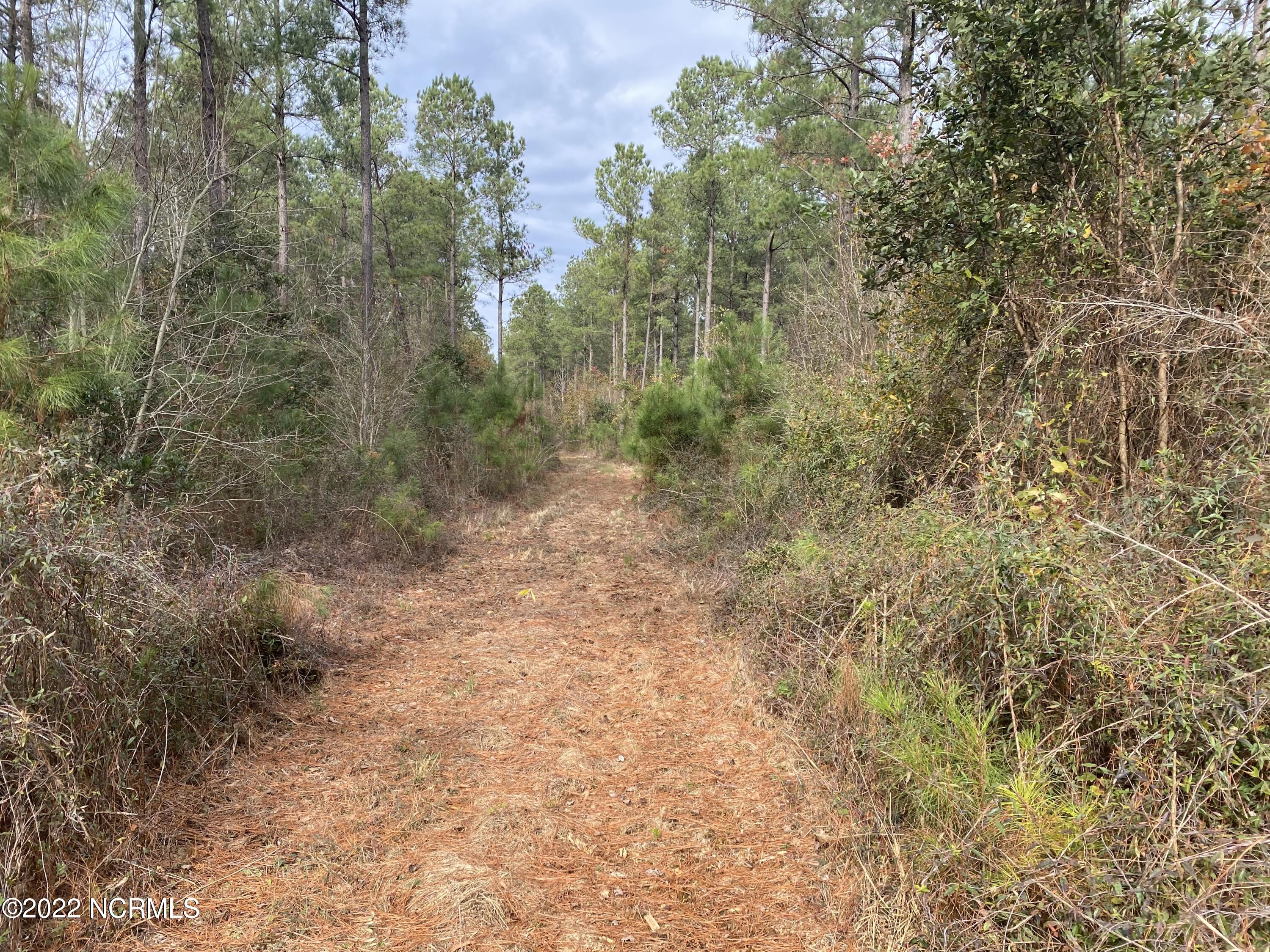 0 Twisted Hickory Road Bladenboro, NC 28320 - Photo 65 of 84 IMG_8371