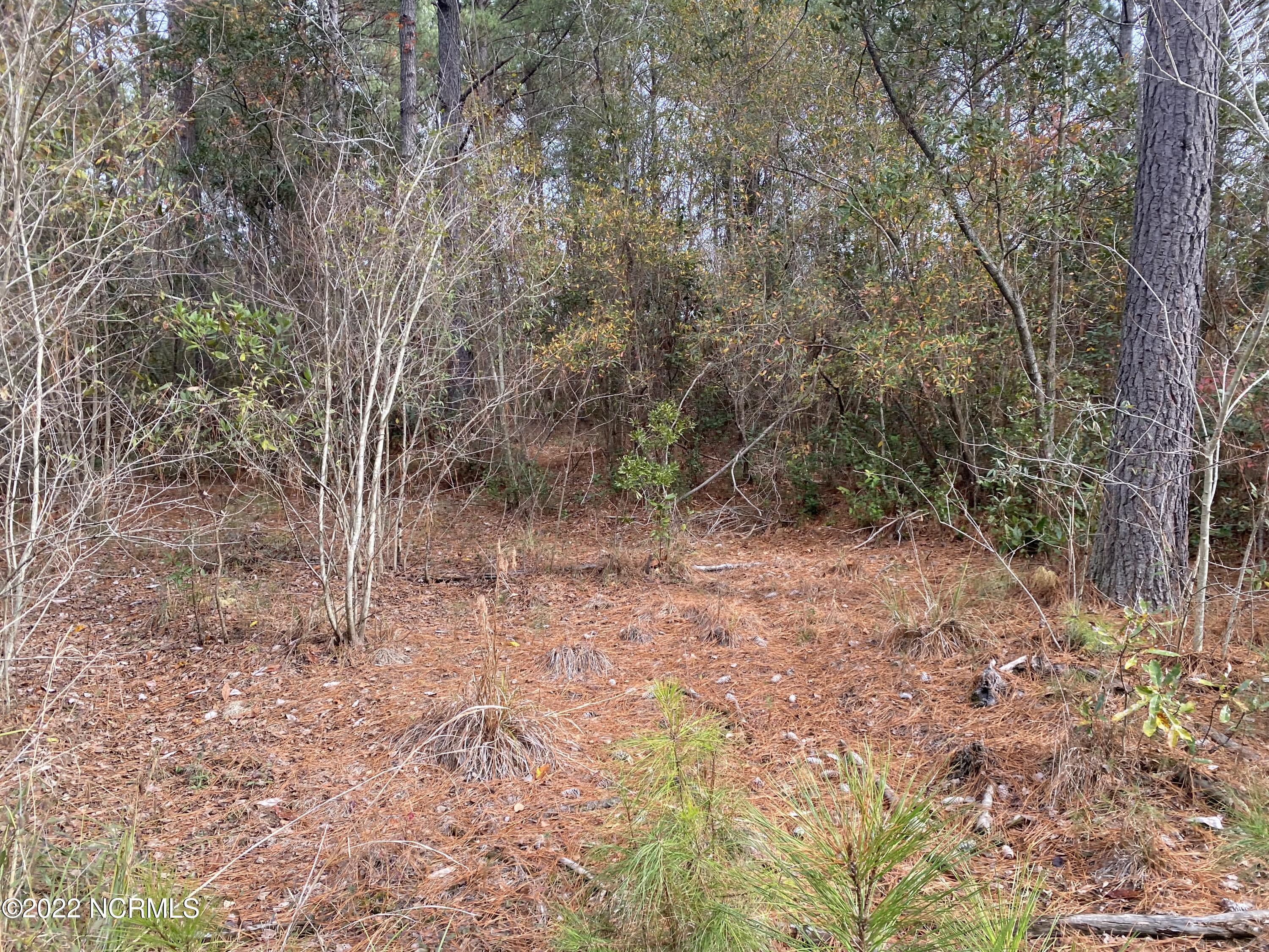 0 Twisted Hickory Road Bladenboro, NC 28320 - Photo 66 of 84 IMG_8372