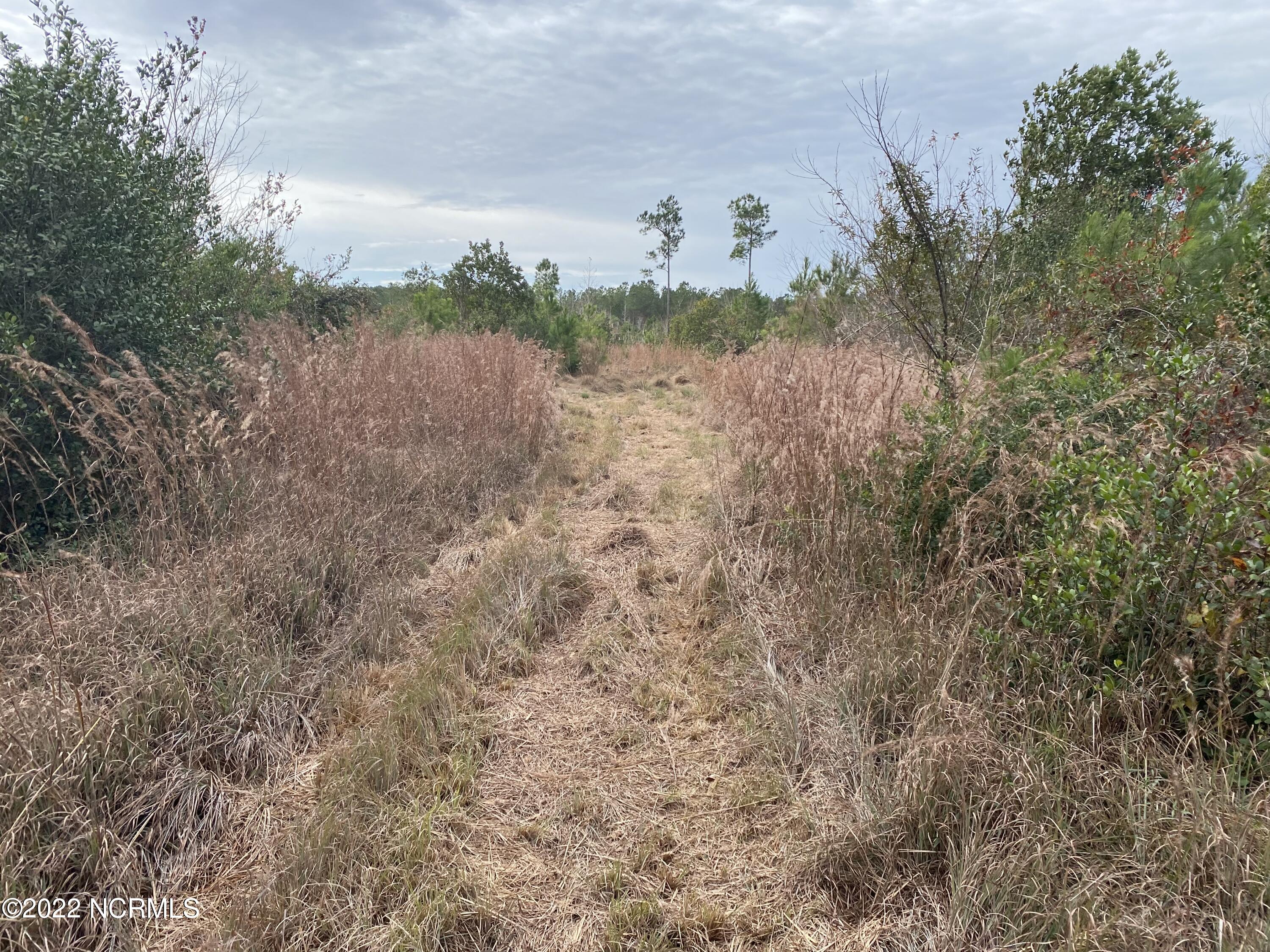 0 Twisted Hickory Road Bladenboro, NC 28320 - Photo 72 of 84 IMG_8379