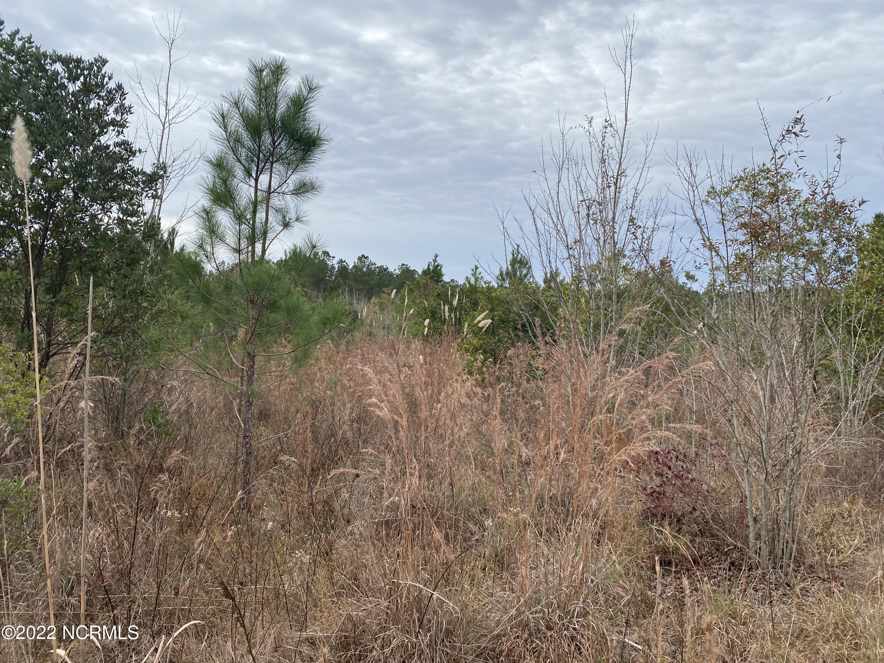 0 Twisted Hickory Road Bladenboro, NC 28320 - Photo 73 of 84 IMG_8381