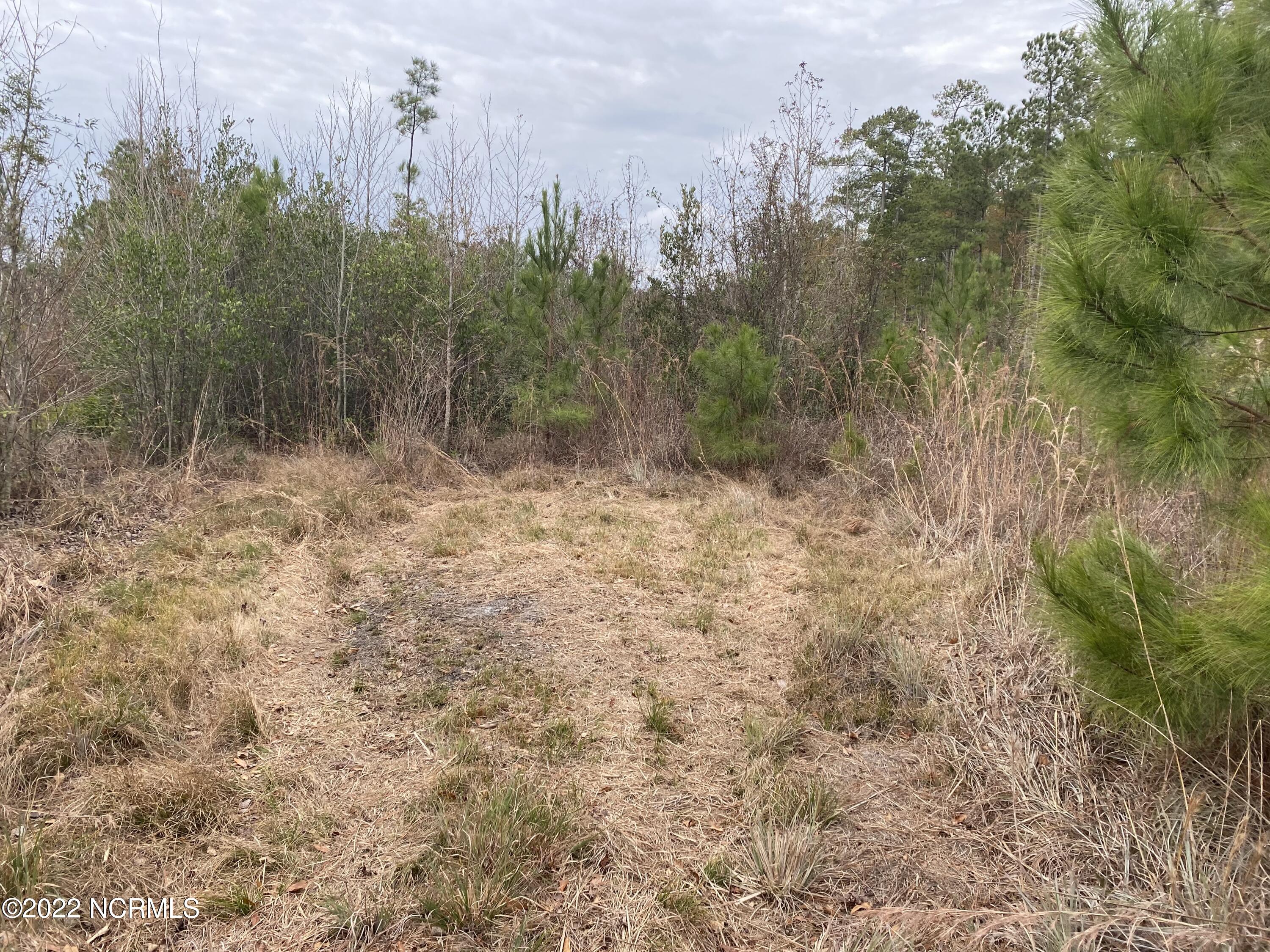 0 Twisted Hickory Road Bladenboro, NC 28320 - Photo 75 of 84 IMG_8383