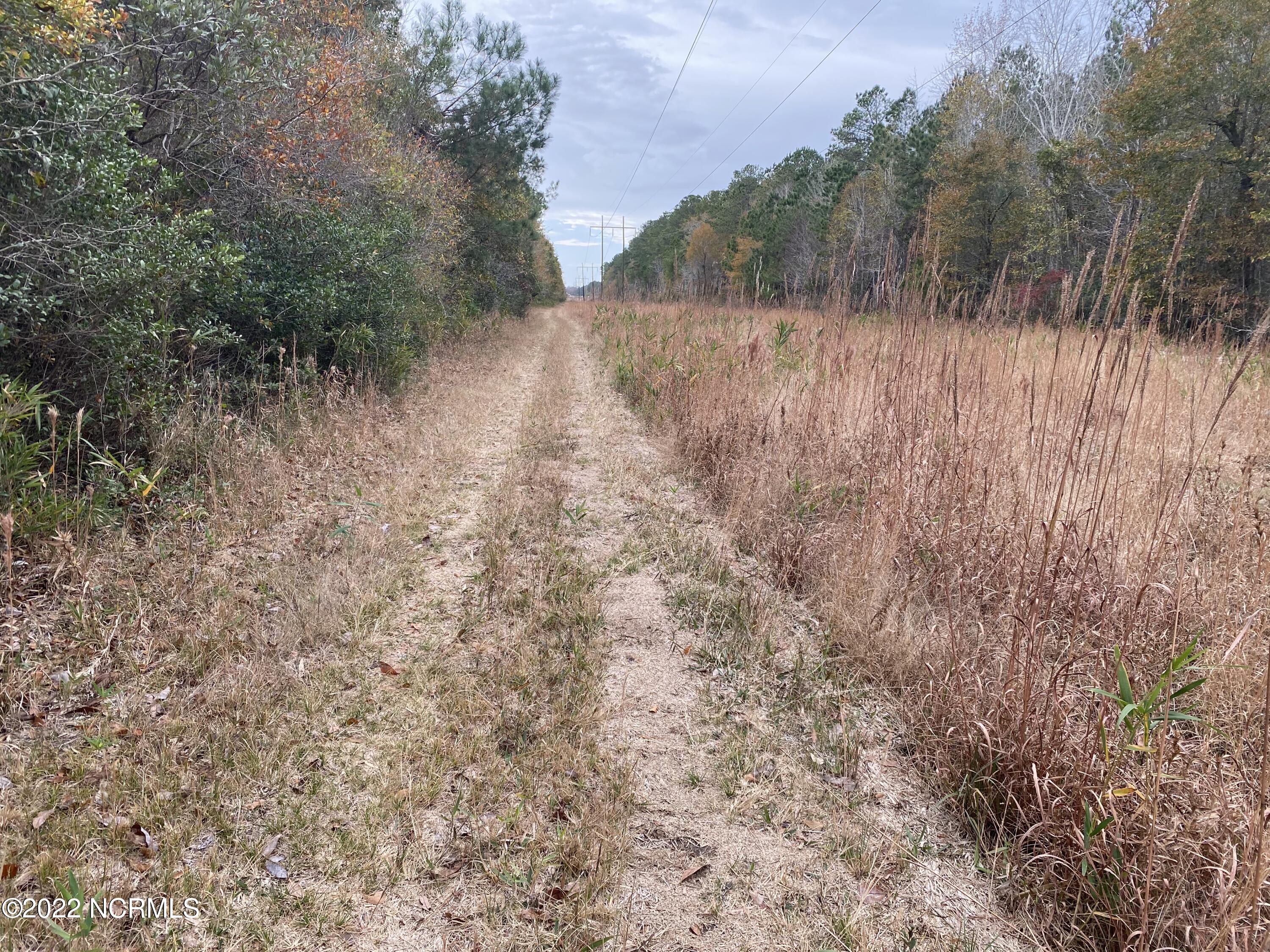0 Twisted Hickory Road Bladenboro, NC 28320 - Photo 77 of 84 IMG_8387