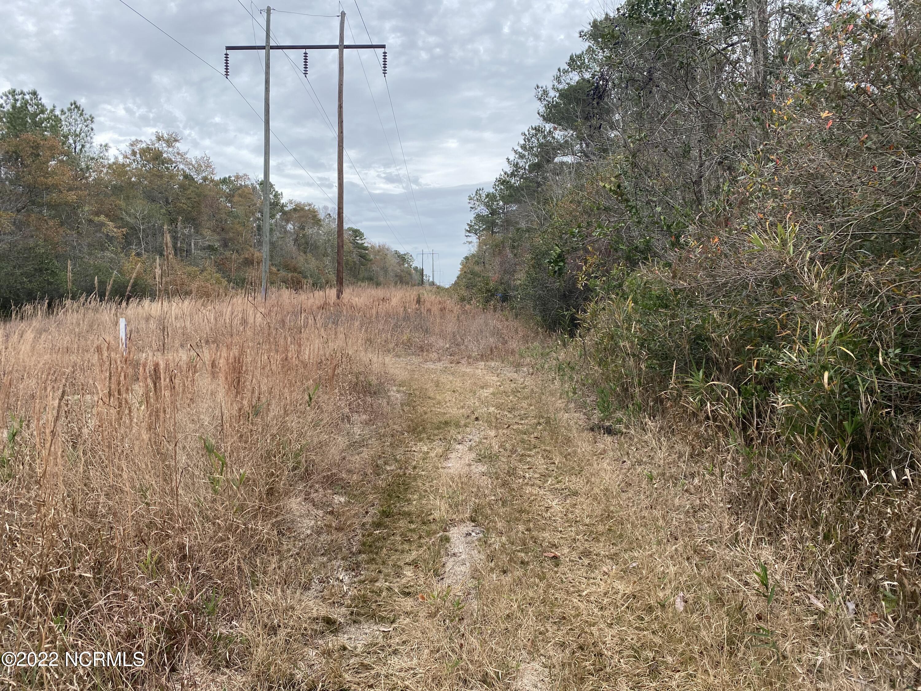 0 Twisted Hickory Road Bladenboro, NC 28320 - Photo 78 of 84 IMG_8388