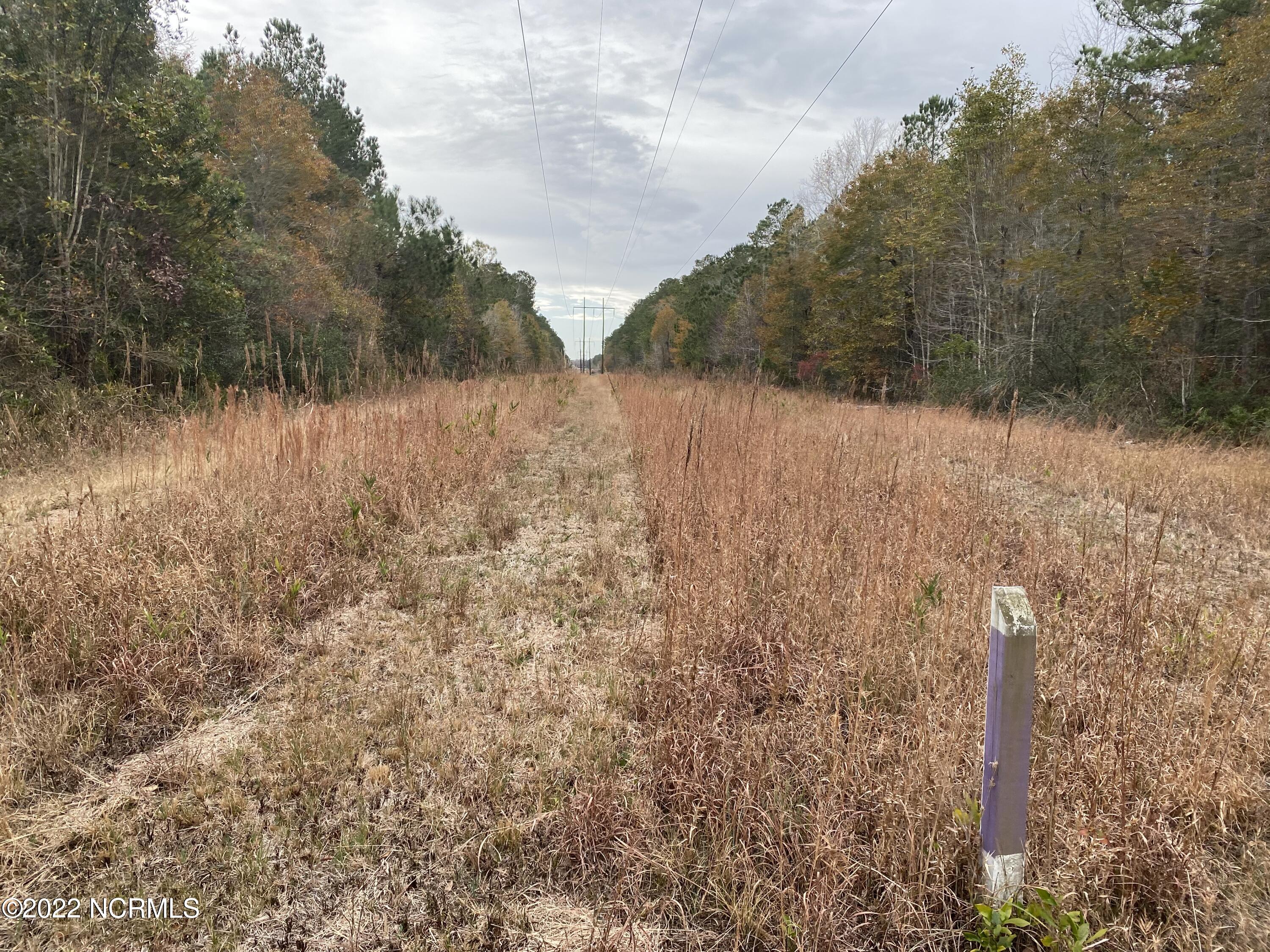 0 Twisted Hickory Road Bladenboro, NC 28320 - Photo 79 of 84 IMG_8389