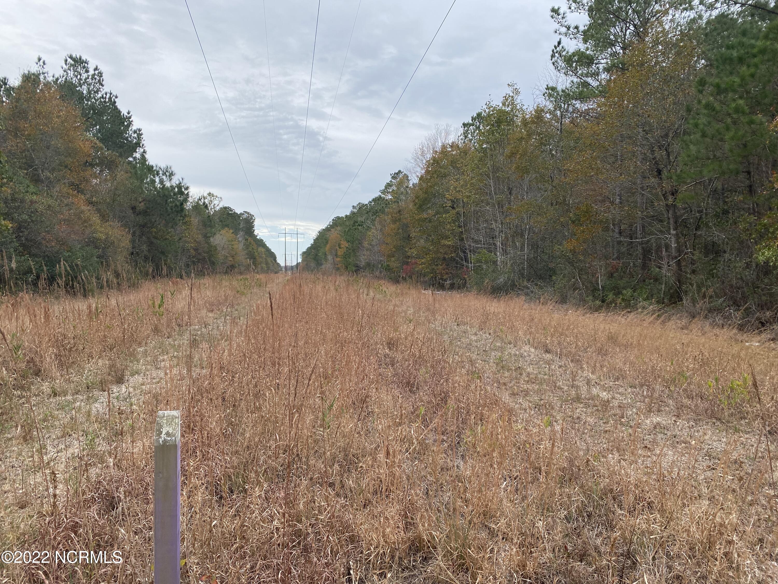 0 Twisted Hickory Road Bladenboro, NC 28320 - Photo 80 of 84 IMG_8390