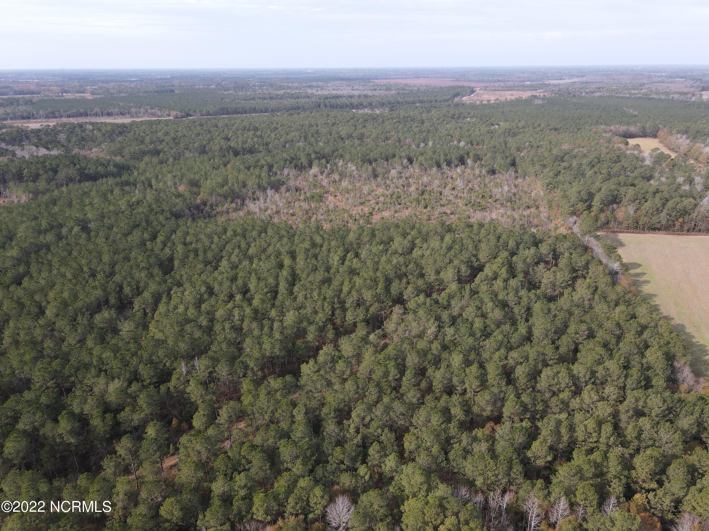 0 Twisted Hickory Road Bladenboro, NC 28320 - Photo 9 of 84 DJI_0785