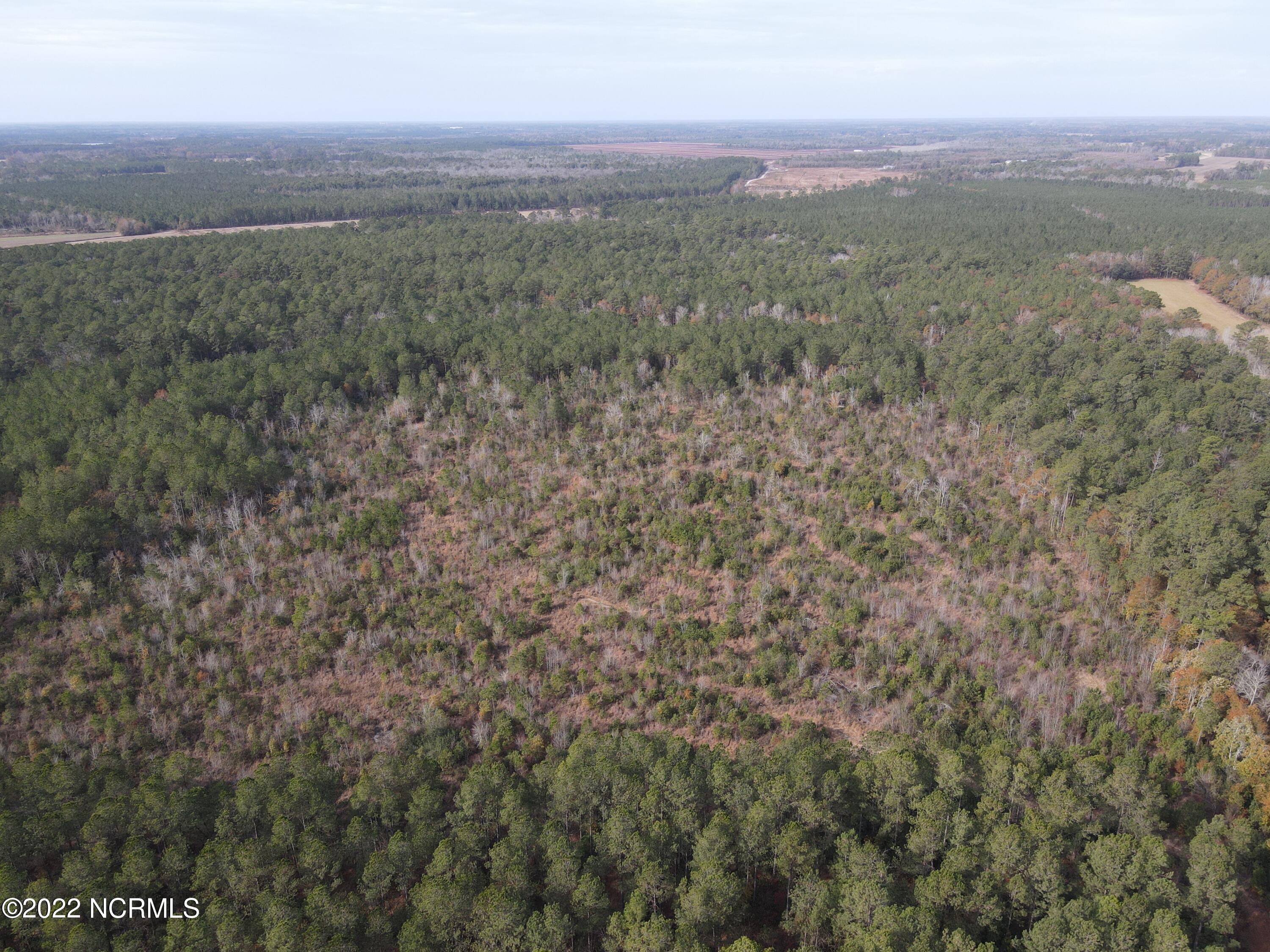 0 Twisted Hickory Road Bladenboro, NC 28320 - Photo 10 of 84 DJI_0786