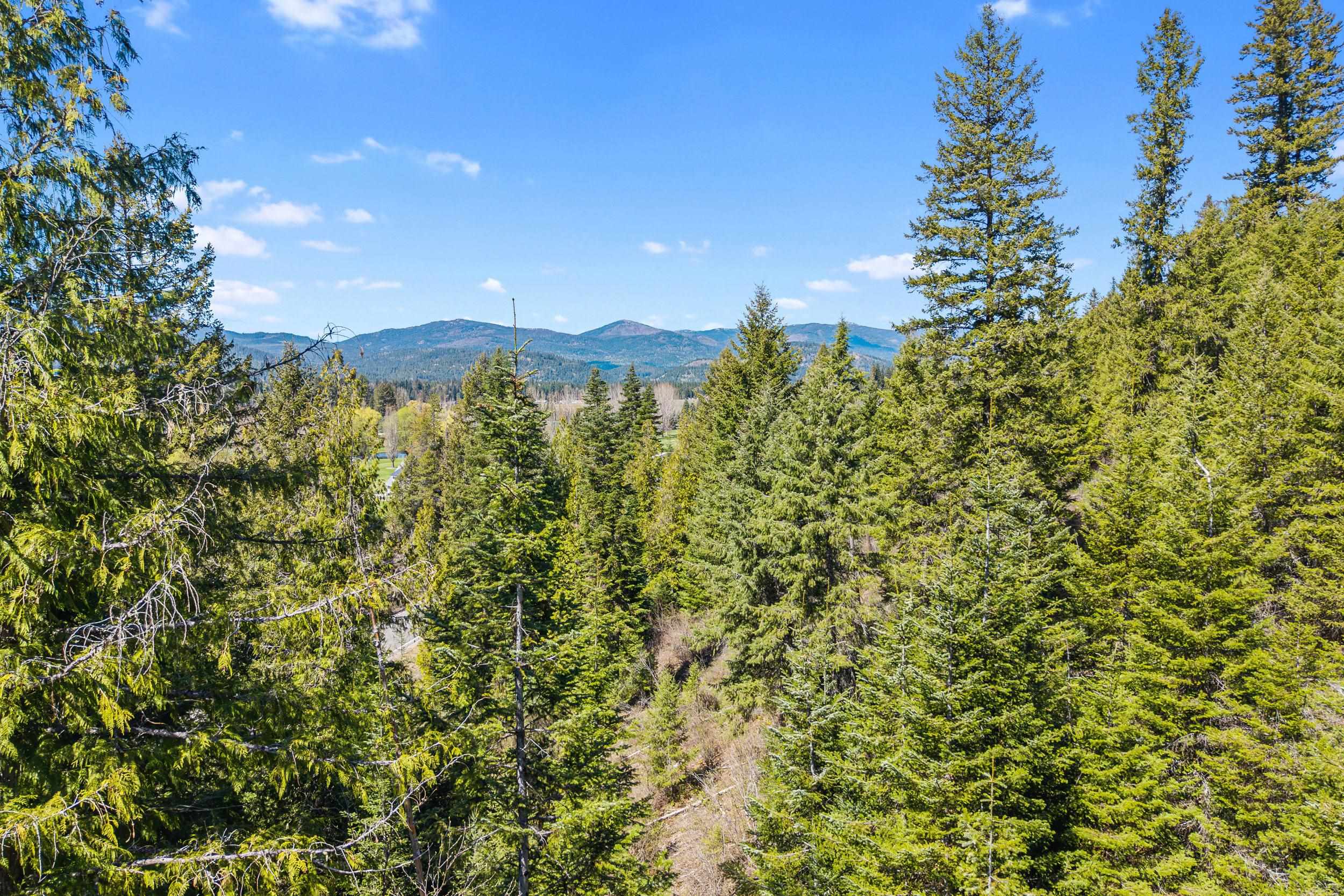 30762 LeClerc Road North Ione, WA 99139 - Photo 31 of 40